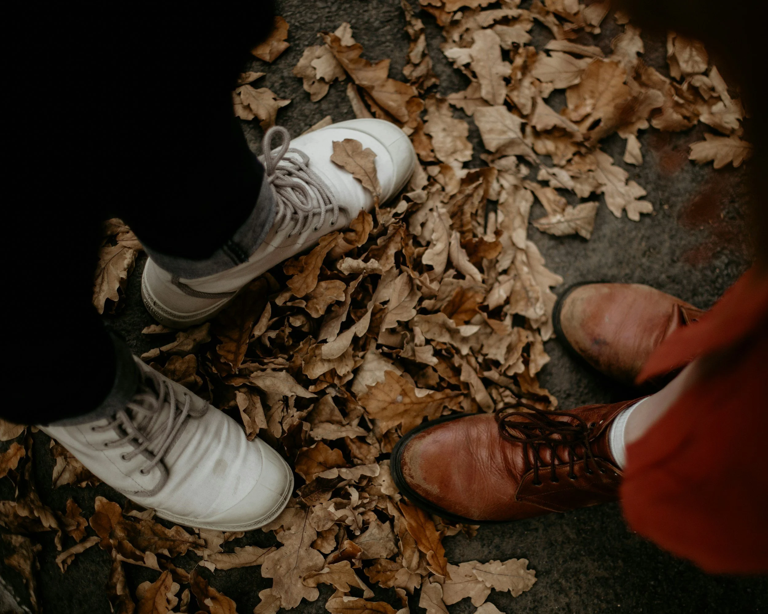 The Heart of Spiritual Friendship - The Sangha
