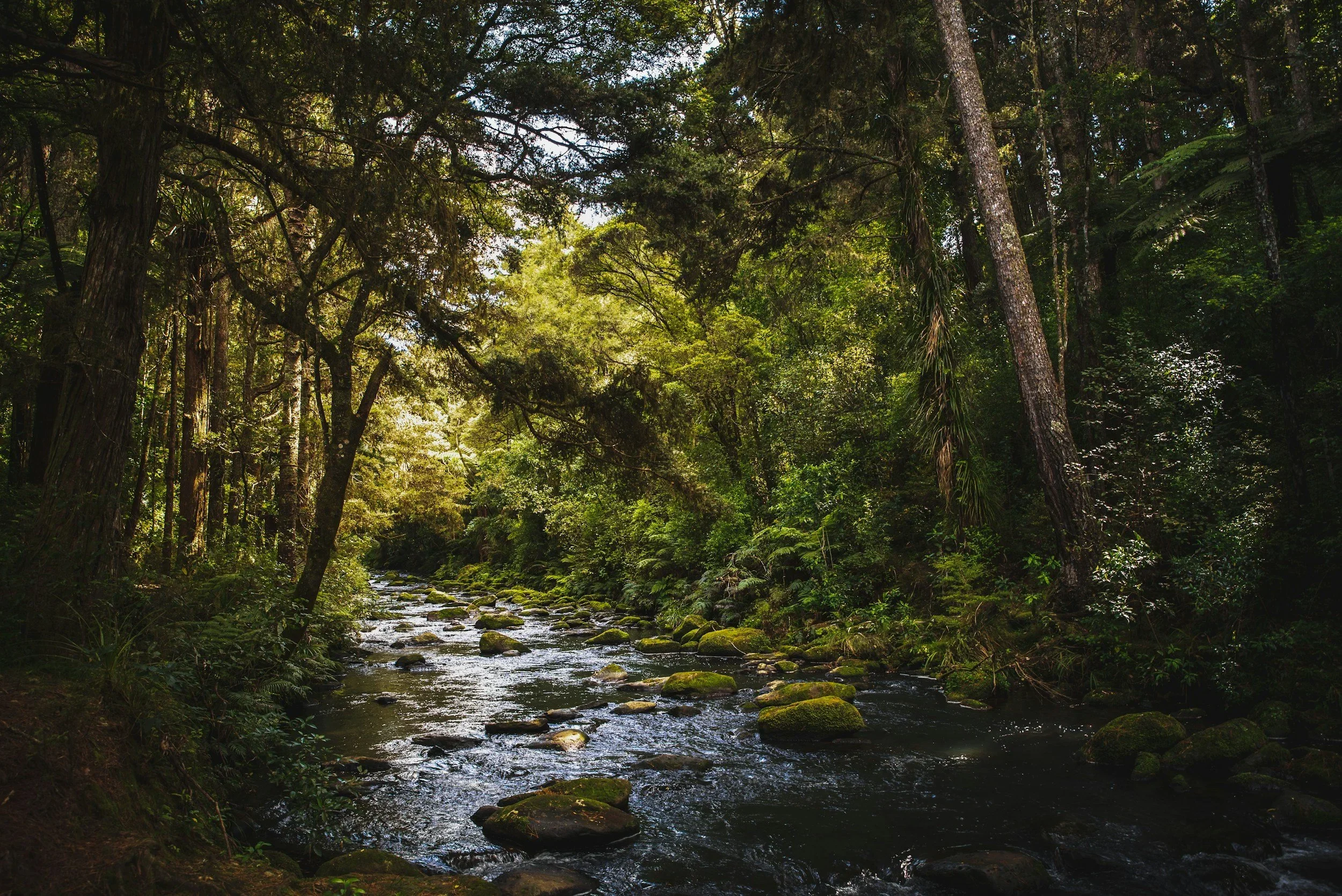 June Public Day of Mindfulness