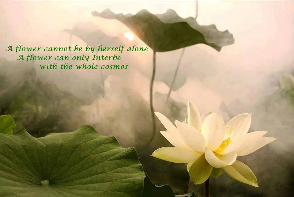 November Public  Day of Mindfulness 