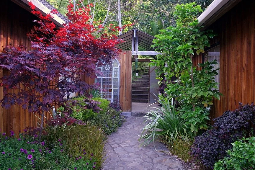   Cultivating the energy of peace and presence