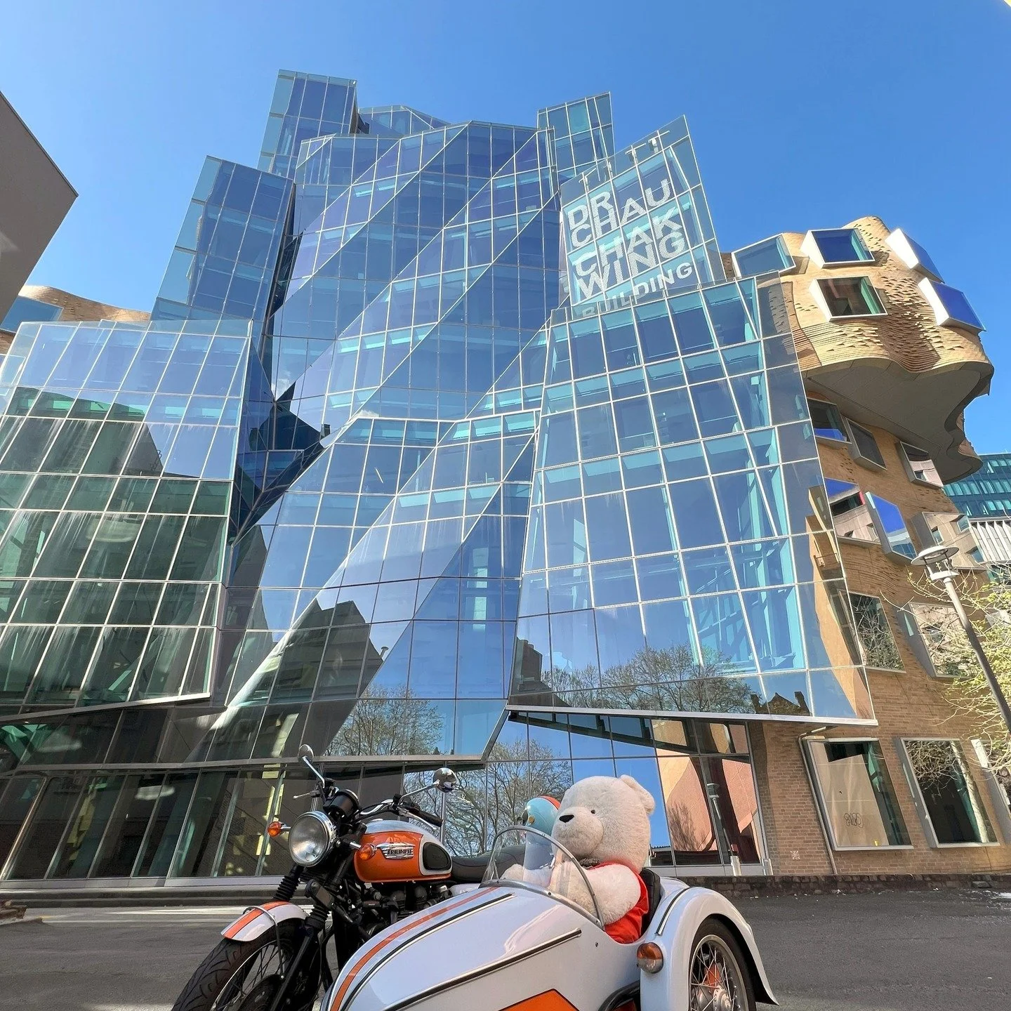 Sidekick Bear had a closer look at the Dr Chau Chak Wing Building, opened in 2015 and designed by starchitect Frank Gehry. Sydney&rsquo;s got plenty of shiny skyscrapers&hellip; but only one that looks like a giant paper bag crumpled by a genius. 🤯
