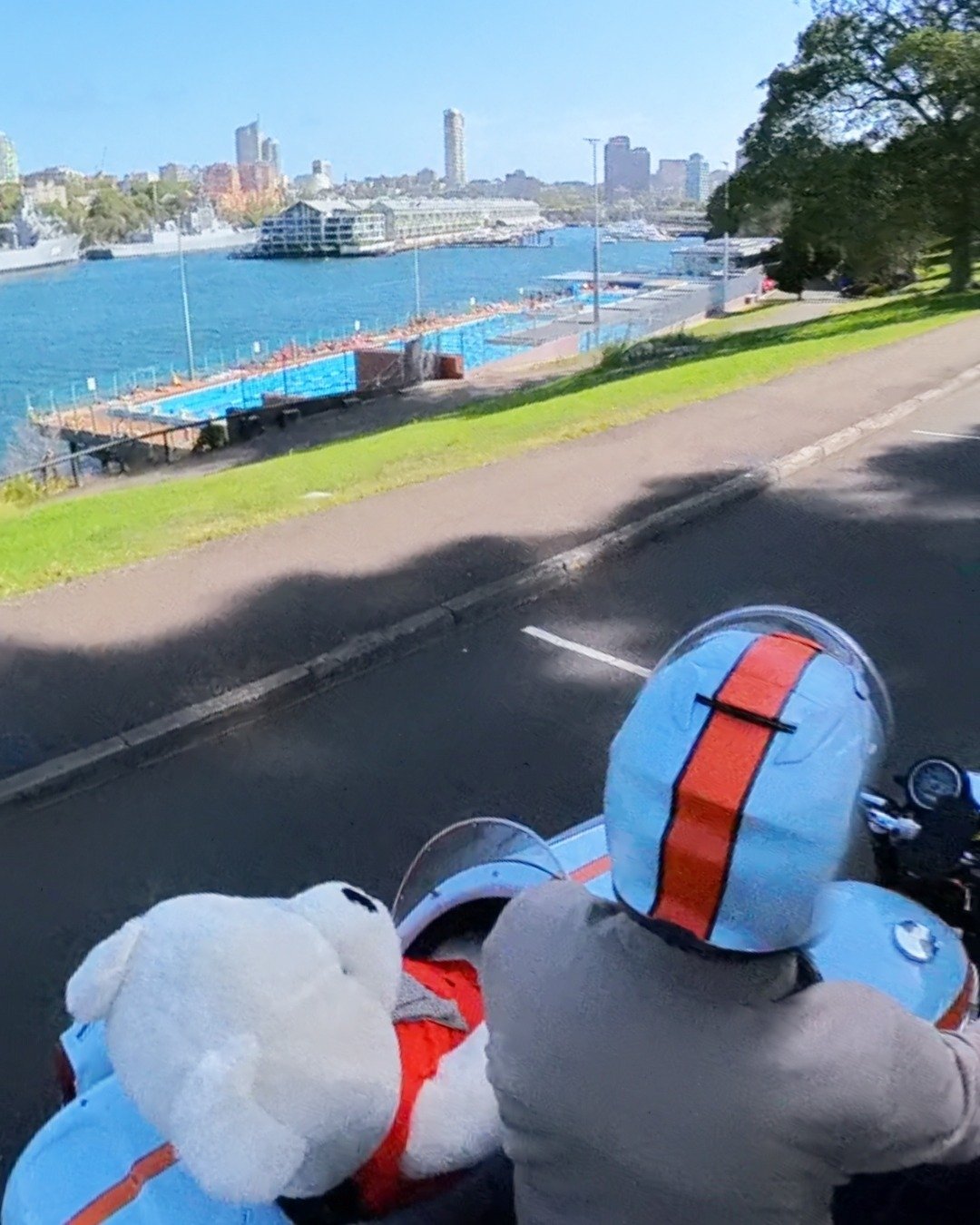 In 1924, a 16-year-old Sydney kid named Andrew &lsquo;Boy&rsquo; Charlton jumped into the Domain Baths against Swedish superstar Arne Borg, a man holding four world records. When Boy Charlton beat him by 20 yards, Sydney had a new hero. The city neve