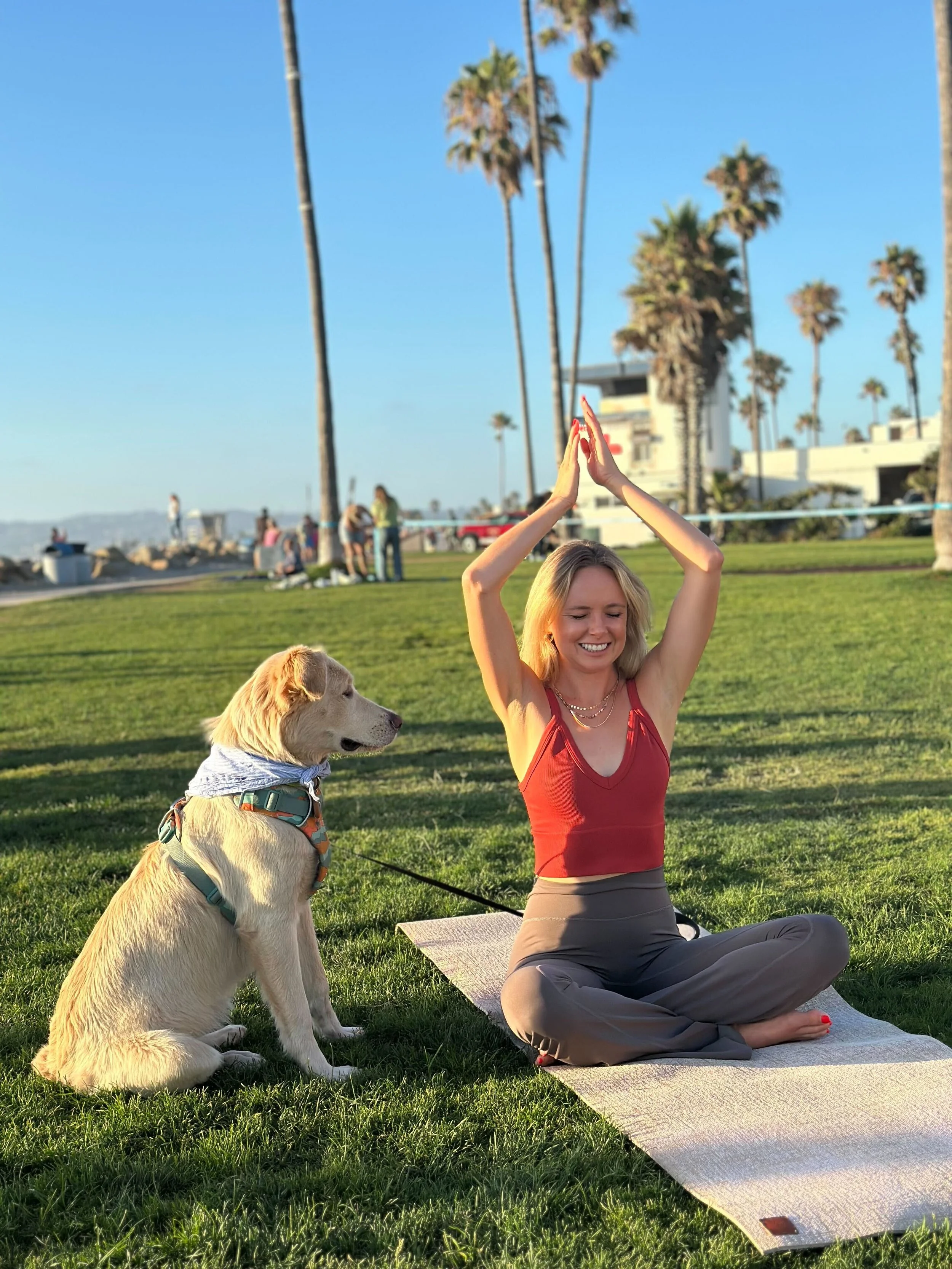 Evening Stretch Flow Donation Yoga