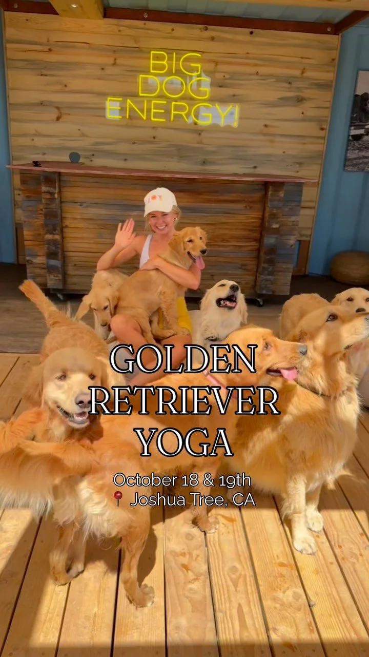 This is your sign to join us for ✨YOGA W/ GOLDEN RETRIVERS✨ in dreamy Joshua Tree, California!🐕
This will be a magical experience of yoga & sound healing surrounded by gentle loving pups. We’ll then enjoy golden retriever playtime - this