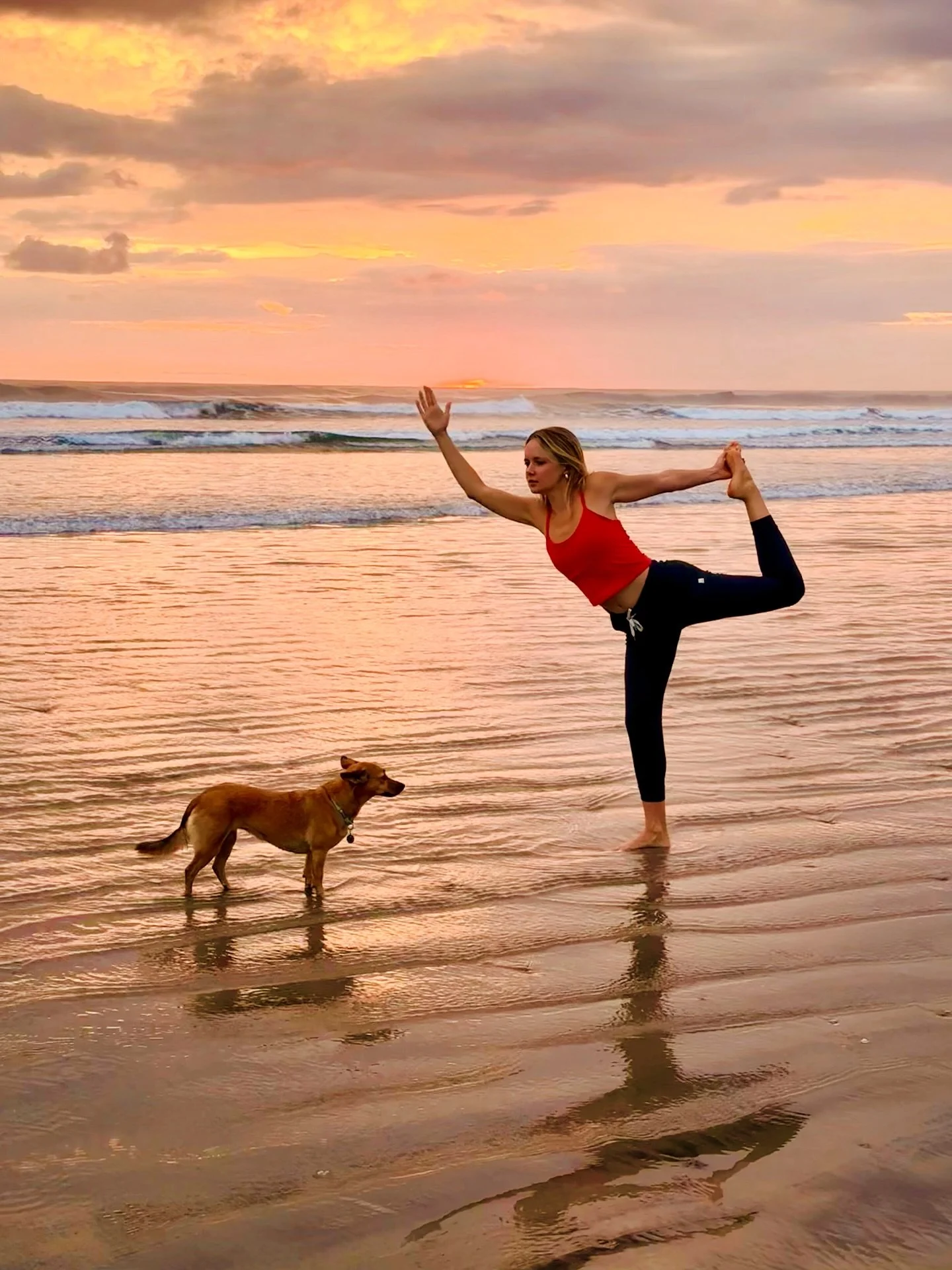 Four years ago I found my furry best friend at yoga training in Costa Rica 🐕
She 100% sent me off into my dog yoga journey and was at my side the entire yoga training program!🙏🏼
Now I’m back in Costa Rica to spend three weeks with her. So