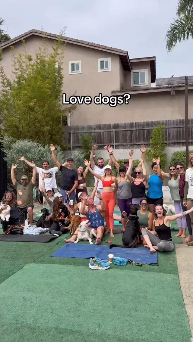 If this is your vibe, see ya at ✨Dogs & Yoga✨ on 9/20 - the sweetest event to bond with your pup & the dog community! 🐕
🤩We’ll feature amazing food, drinks, and goodies for you & your pup 🐶 including DOG RAMEN and pup cups 🥹 An