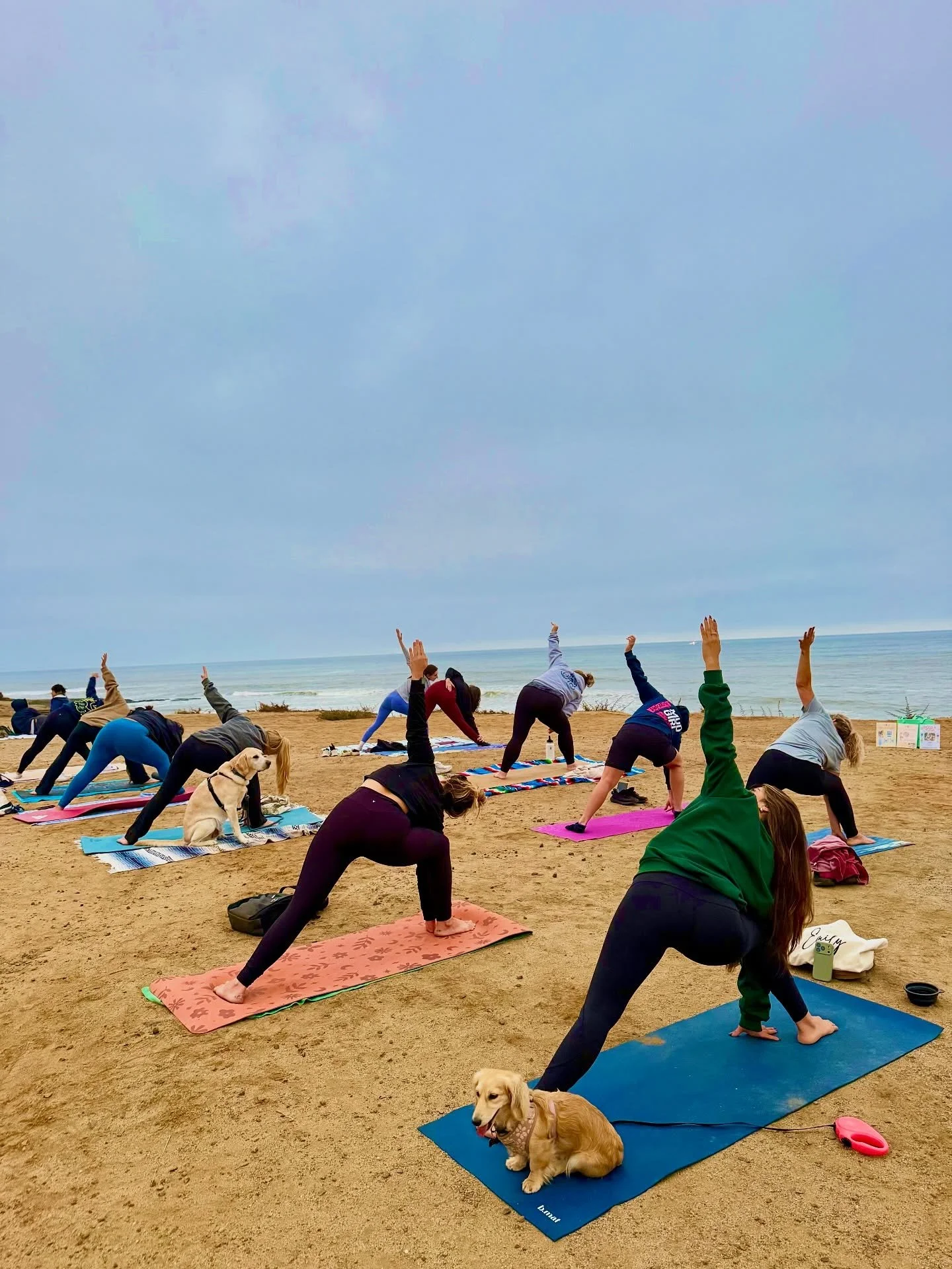 YOGA W/ ME THIS WEEK!! Nov 7-9th 🧘🏼&zwj;♀️🐕

Friday 11/7 | 📍Sunset Cliffs
✨11am @mindbodybadass 
✨5pm @sunsetcliffsyogasd 
Bring your dog!!! 🐶 

Saturday 11/8 | 📍Sunset Cliffs 
✨9am @mindbodybadass 
Bring your dog!!! 

Saturday 11/8 | 📍 Ocean 