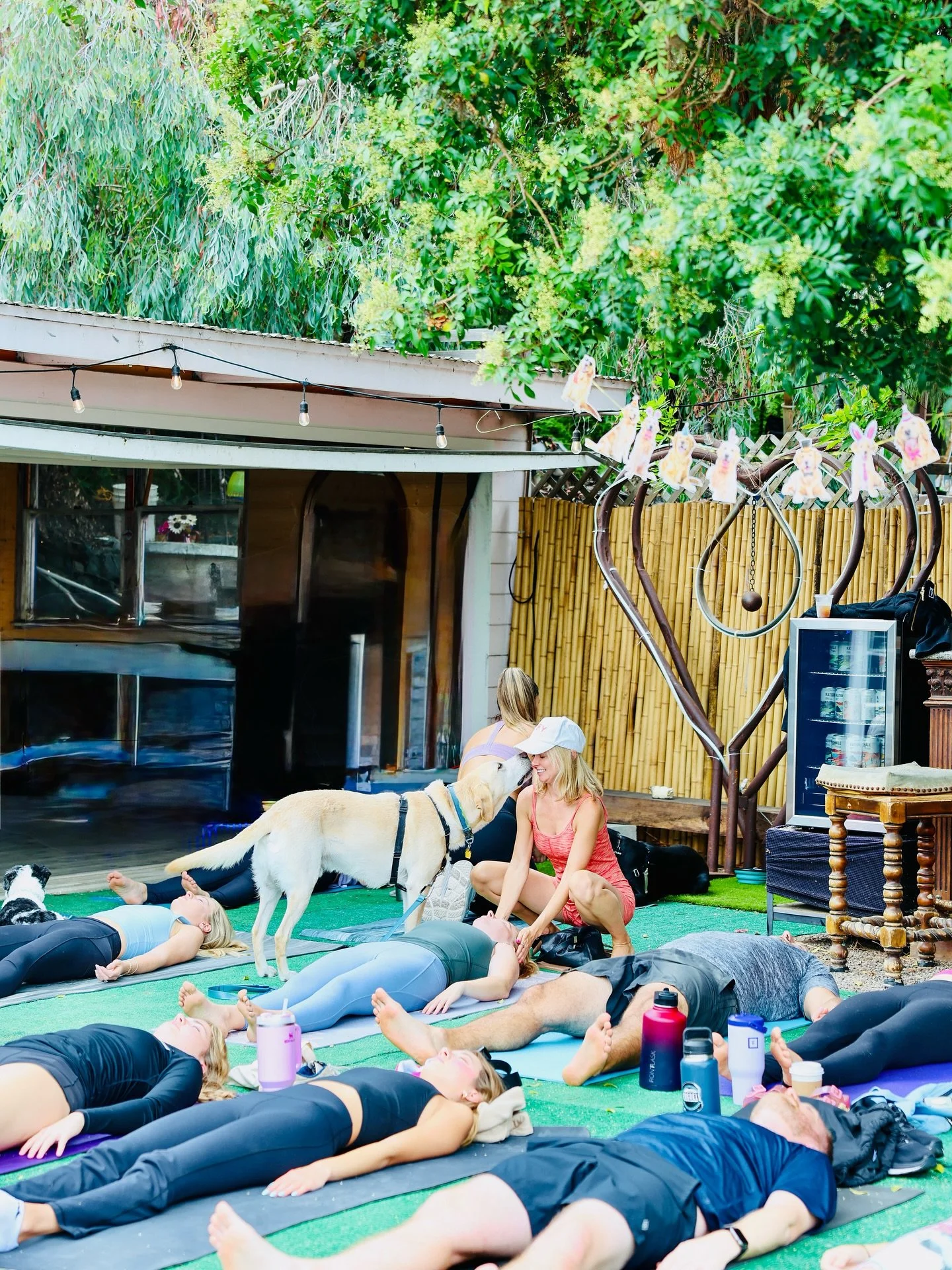 DOGGIE KISSES! 😘 Bring your dog yoga tonight at @chancescoffeesd - the amazing new dog themed cafe in North Park! 🐕🐶

Doors open at 5pm, class starts at 5:30!✨RSVP in bio &hearts;️

📸 @enchantingislesphotography #Dogyoga #sandiego #northpark