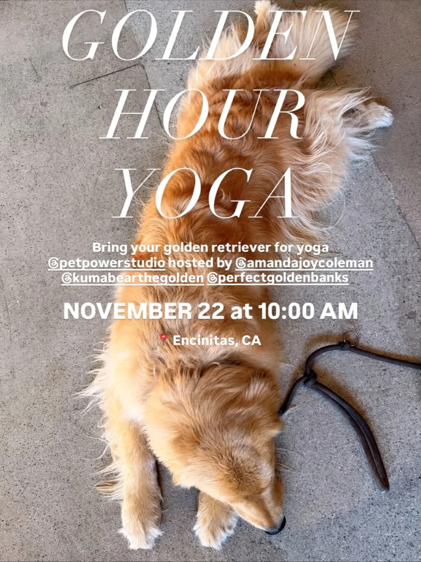 🧡 GOLDEN HOUR YOGA IS SAT 11/22 in ENCINITAS! 🧡

You&rsquo;re invited to the happiest morning ever! 🐶 

Bring your golden or best furiend and join us for yoga followed by sips, shops, music, and great vibes at @petpowerstudio 

🌞 Golden Hour Yoga