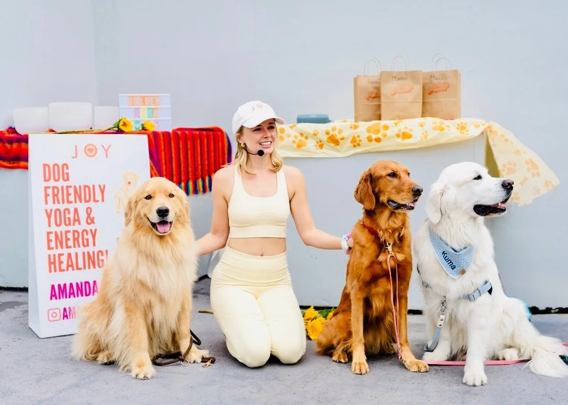 Golden Yoga = happiest day ever 🐕🐶 Thank you to my amazing cohosts and all attendees. There was so much love! Cant wait for the next one! 🤍

Photo by @heycheerpup at @petpowerstudio 🥰🌻

#encinitas #goldenretrievers #sandiego
