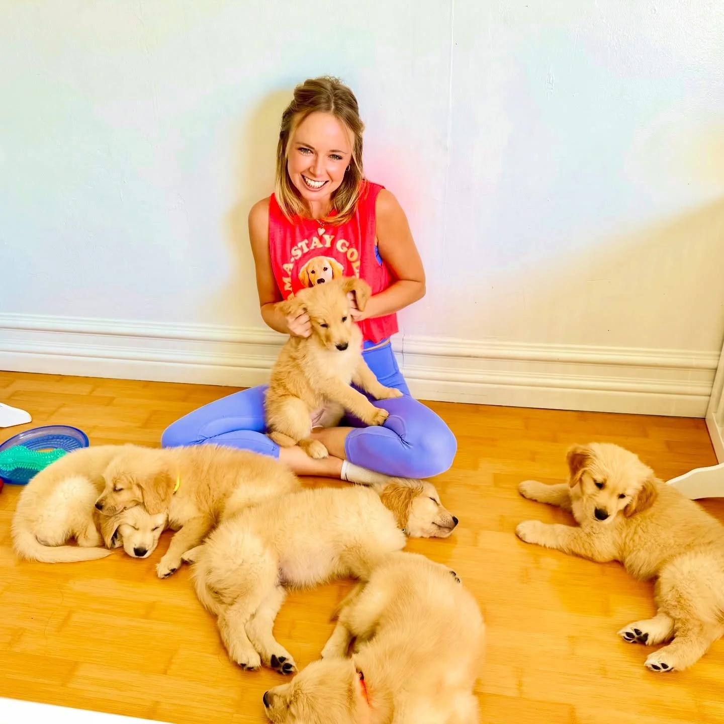 POV this is my heaven &amp; I could not physically move from this spot 😂 

These Goldens were the most angelic bunch of puppies to date 🐶

Thank you Pat &amp; Justin for all of the love you gave these Goldies and congrats to all of the new Goldies 