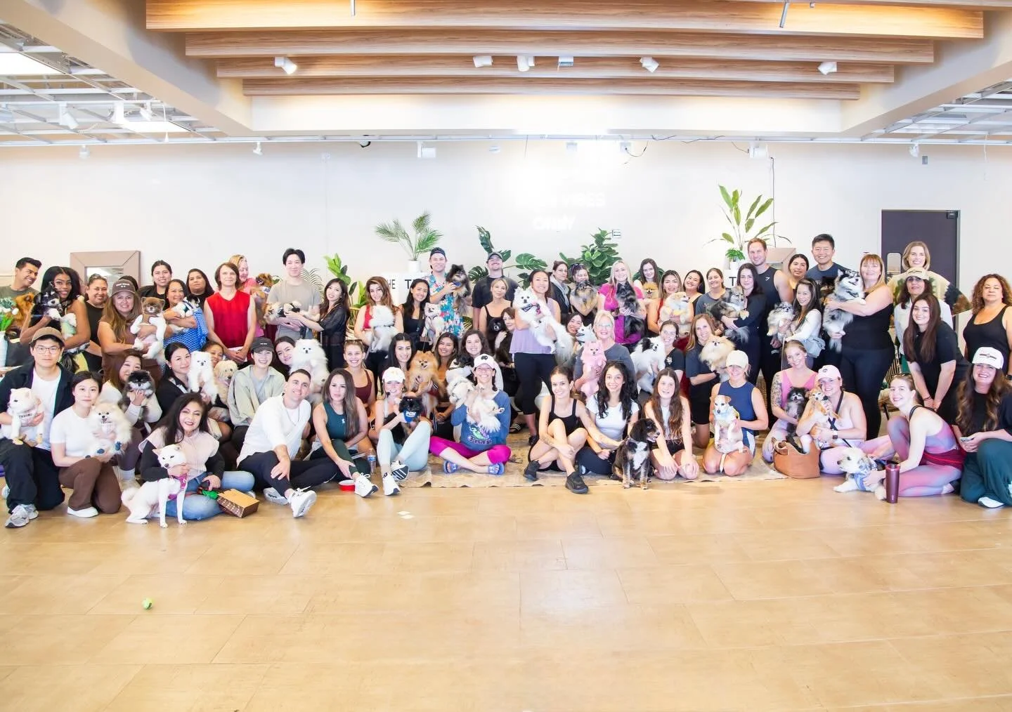 Pomeranian Yoga was so adorable and fun!🥰

Thank you to our amazing team, sponsors, and vendors for your support 🙏🏼We also raised funds for @ocpomrescue 😎

Photos by @laurenelisabeth.photography at @the.style.den with @pomparty_oc &amp; @amandajo