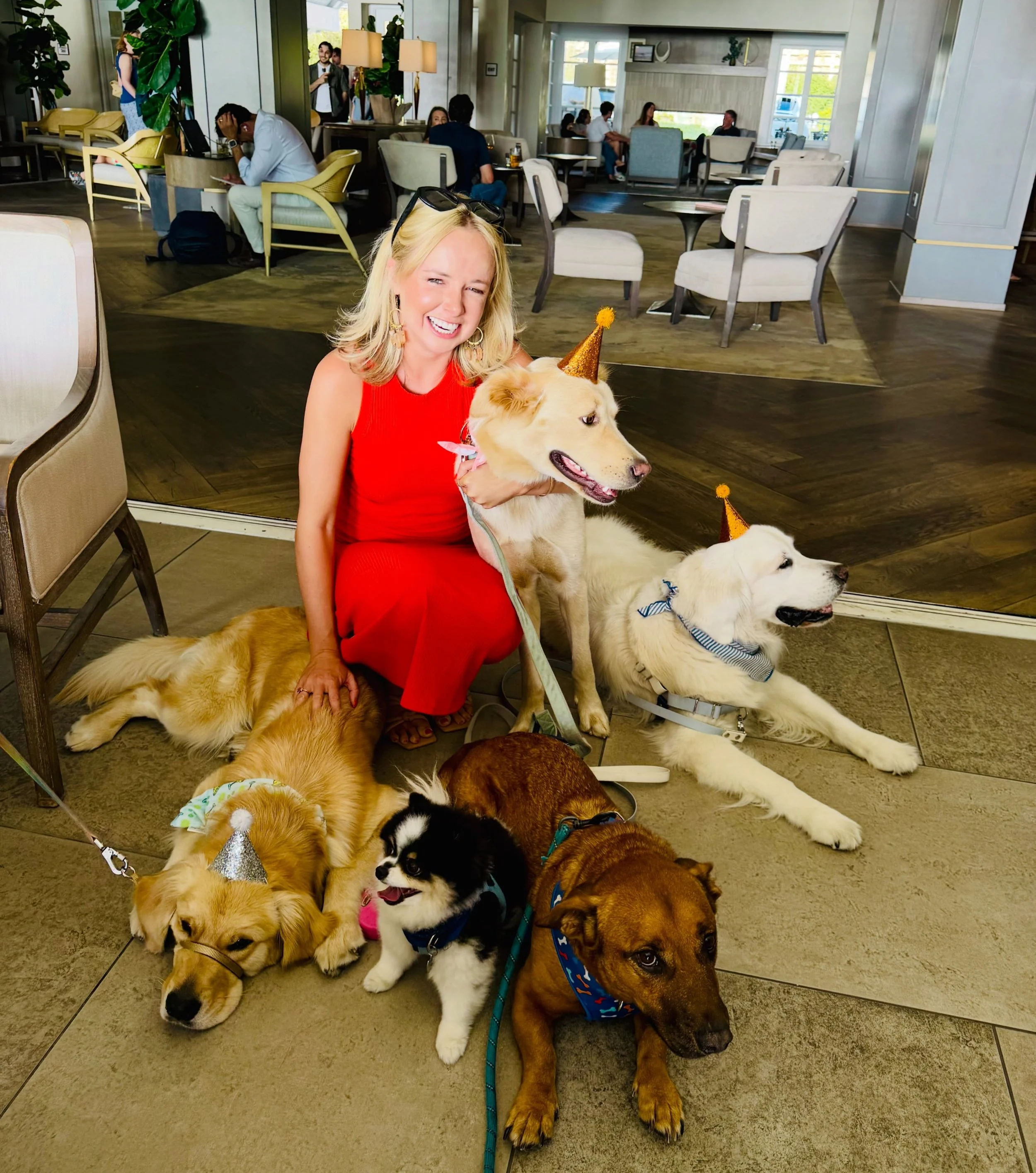 Grateful to love you guys with my whole &hearts;️&hearts;️ Best doggie community ever 📸 Yappy Hour at @laubergedelmar
