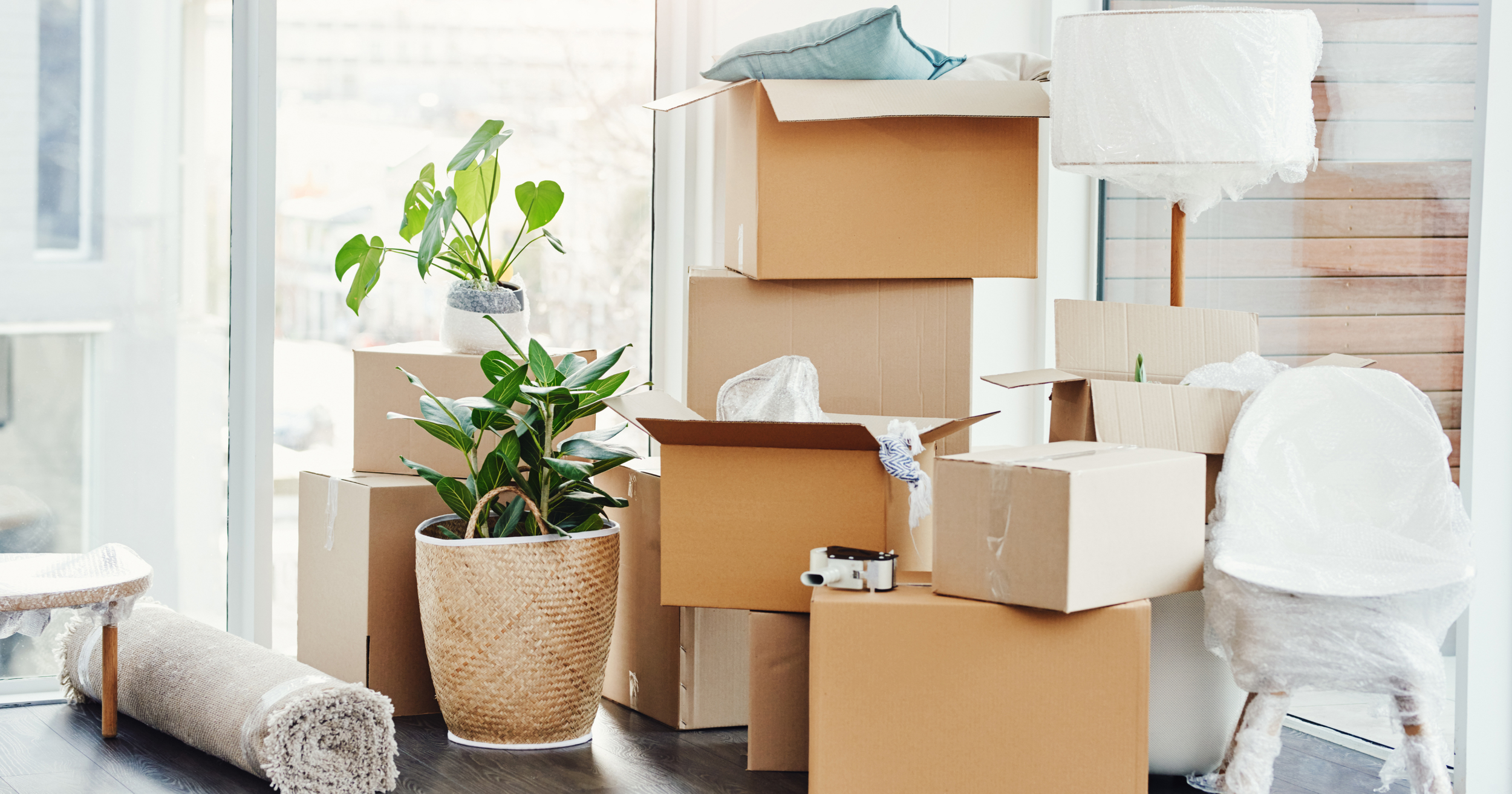 Home Loan Options Explained: Which Loan Is Right for You?