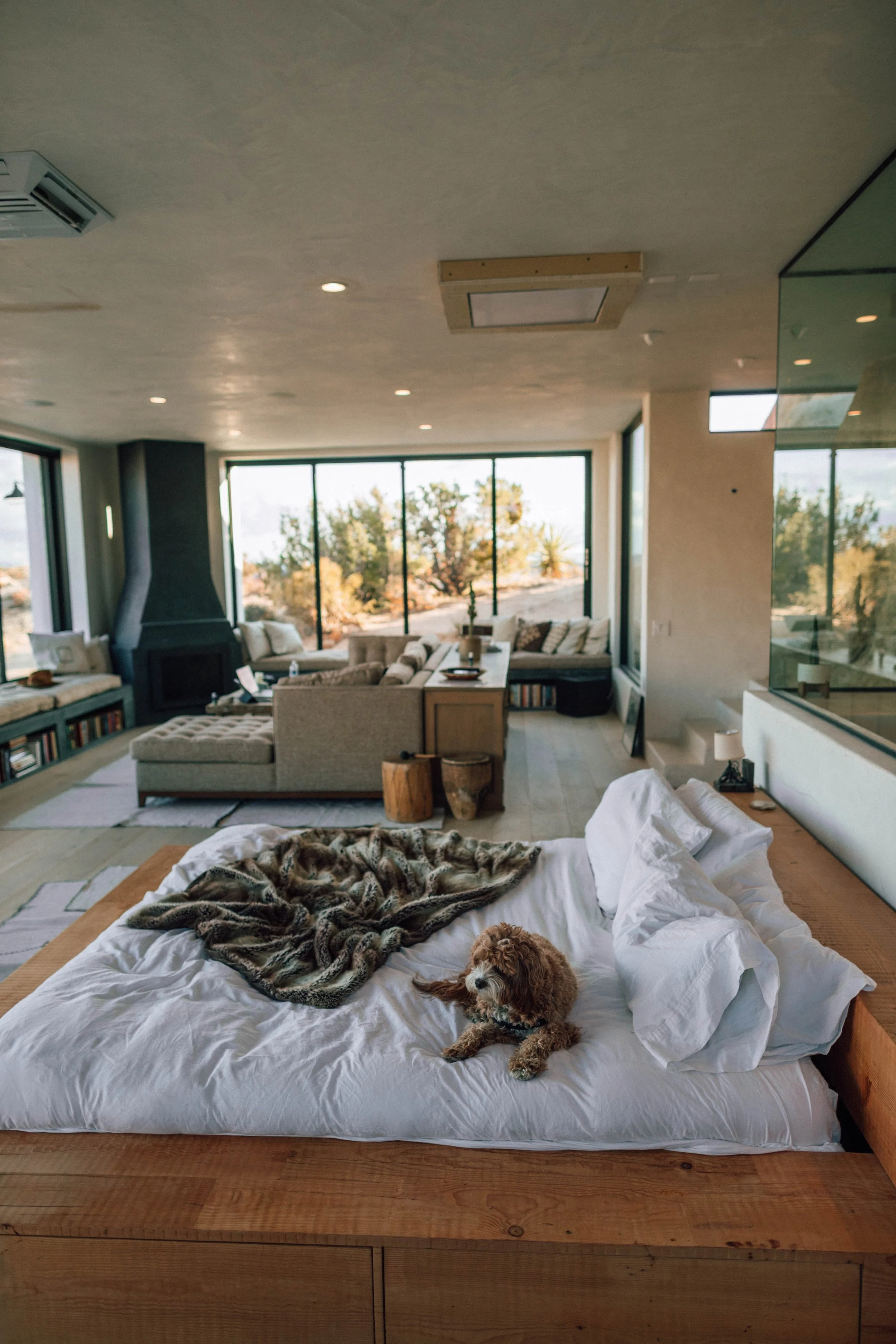 A bedroom with large windows showing a desert landscape, a bed with white sheets and a dog lying on it, a blanket, and a dog bed at the foot of the bed.
