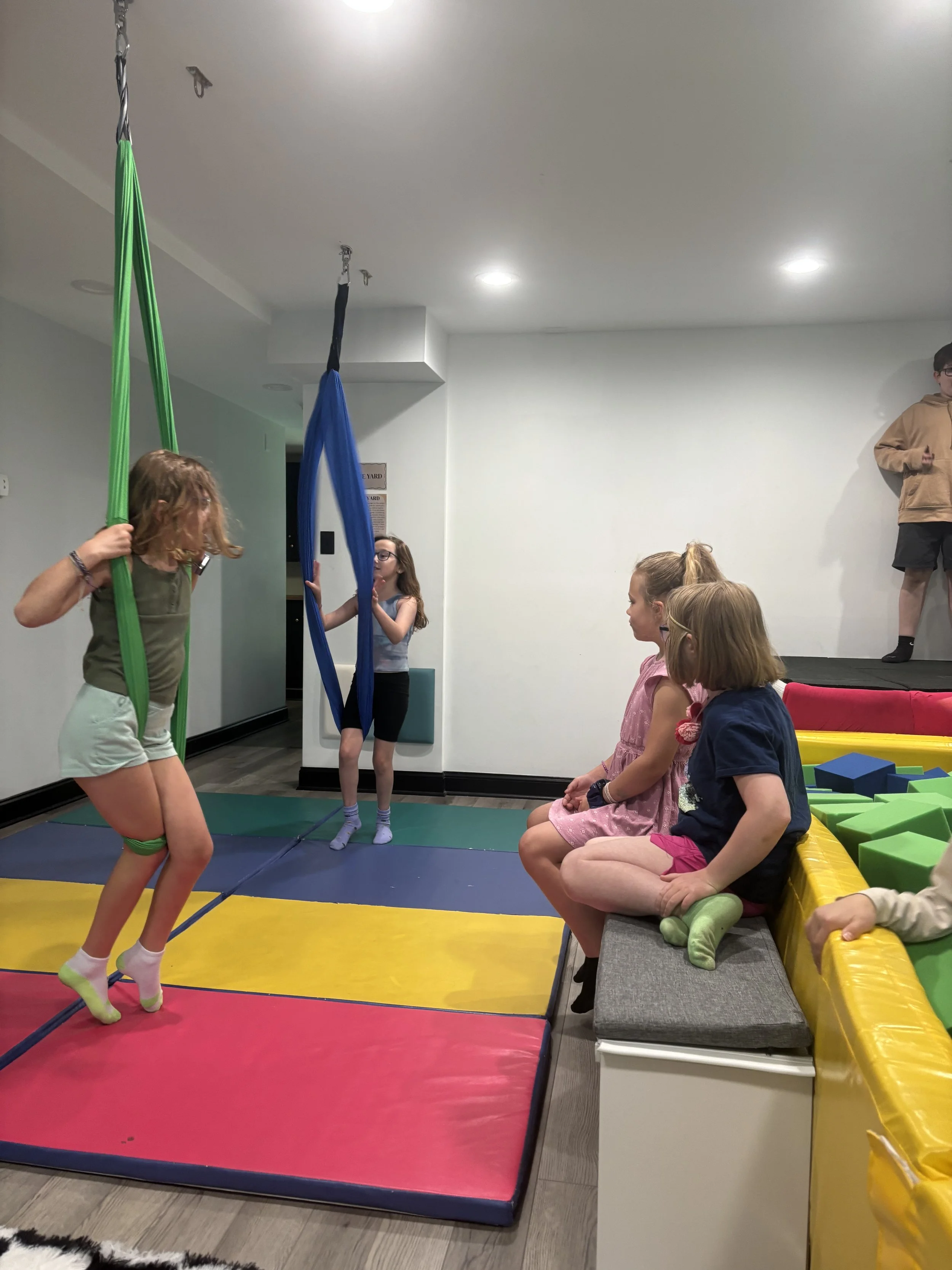 kids-aerial-silks-sensory-gym-phoenixville-pa.jpg