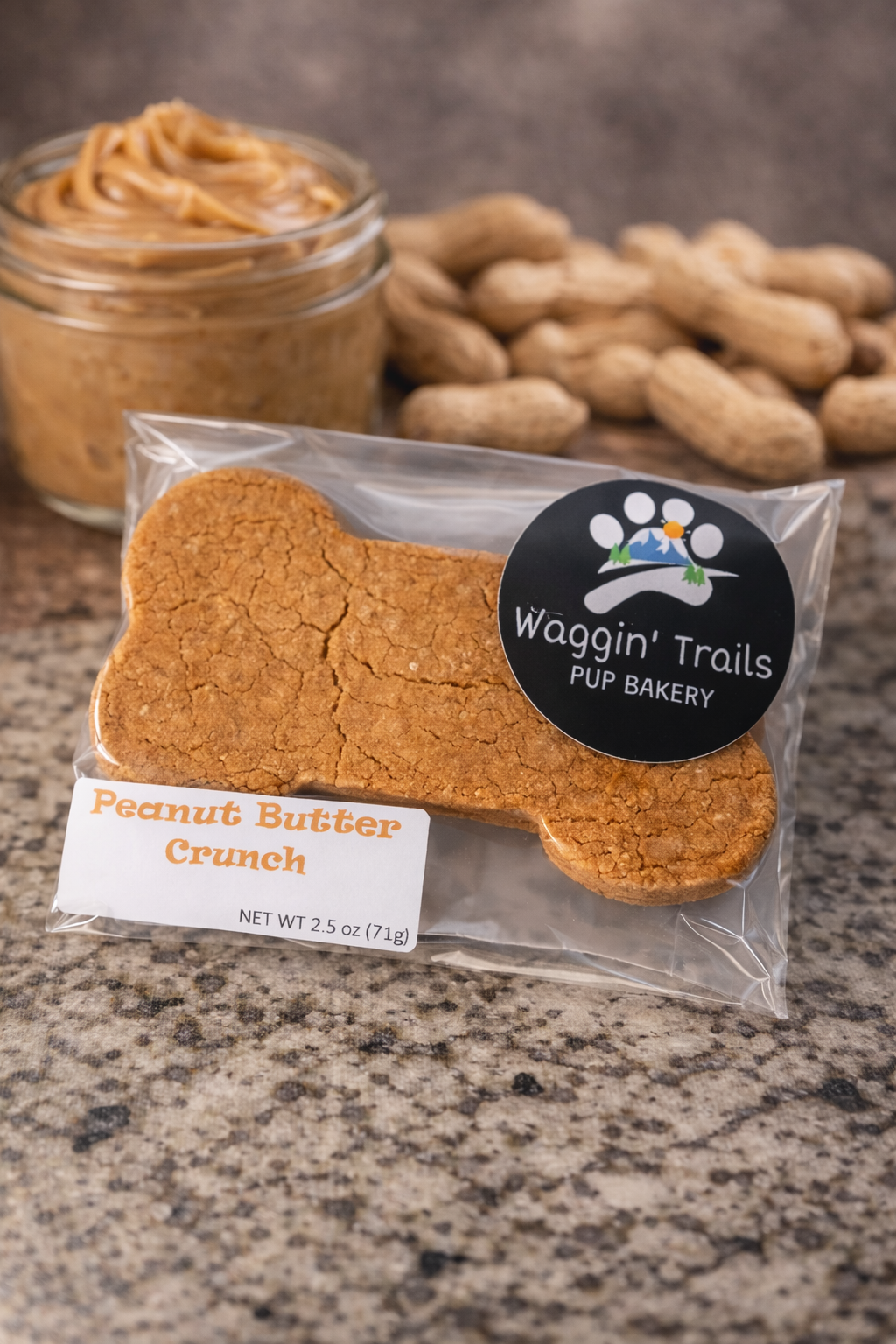 ChatGPT Image Feb 26, 2026, 01_18_00 PM.png