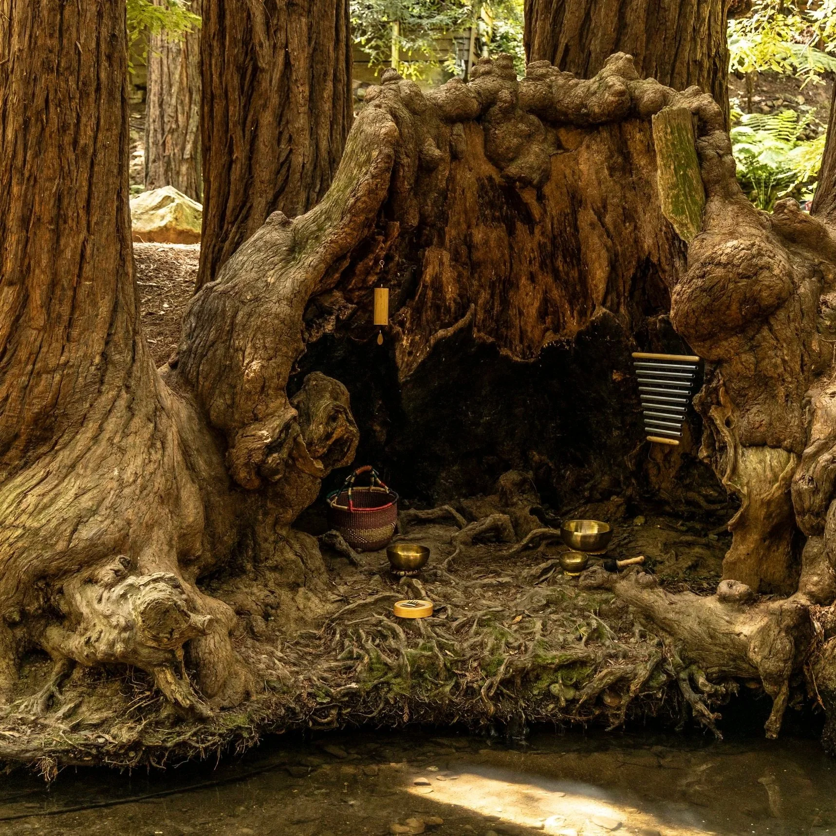 A spiritual outdoor altar set in a hollowed tree trunk, surrounded by trees with singing bowls, a wooden gift box, a metal chime, and a small drum, in a forest.