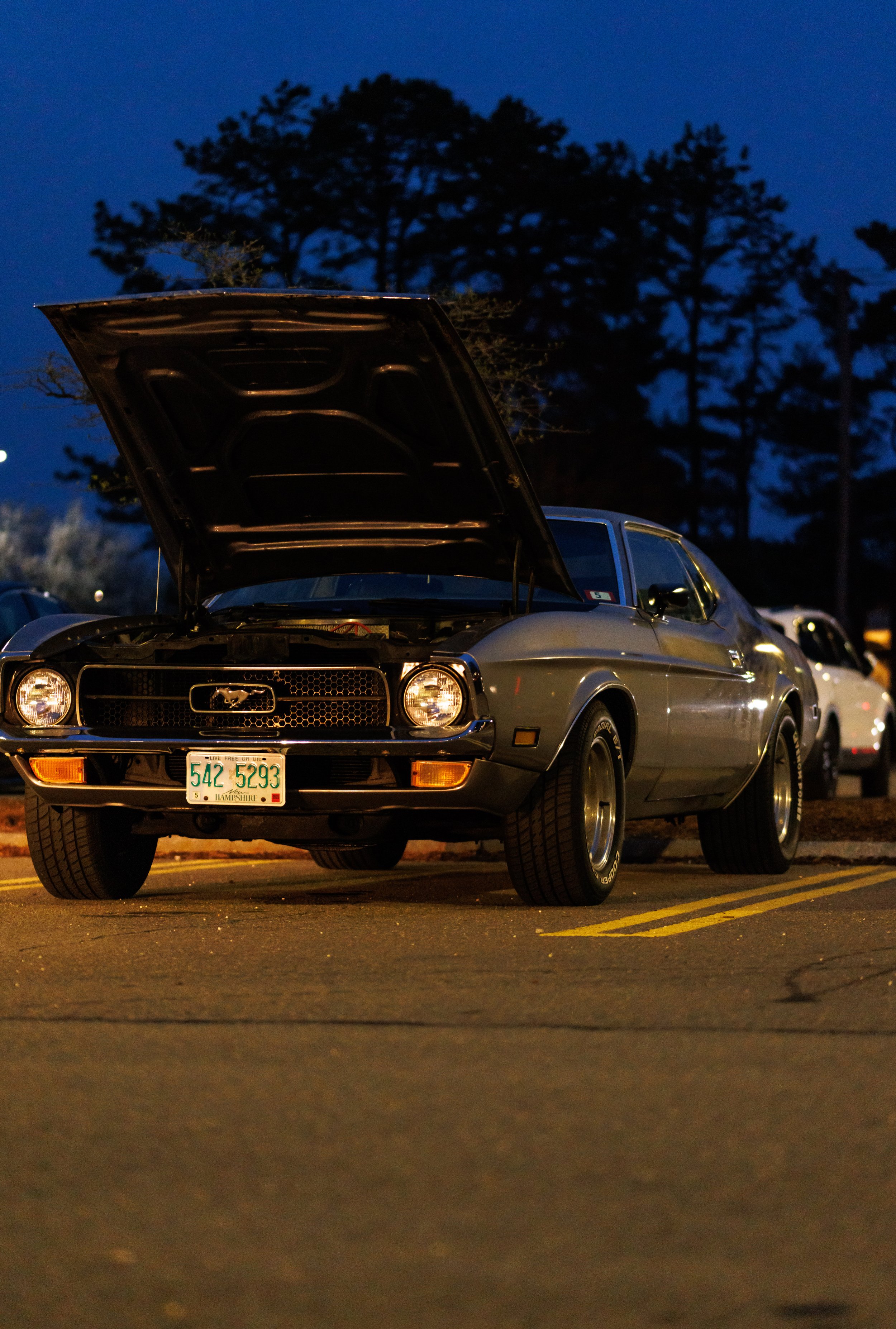 _TC_0148.jpg