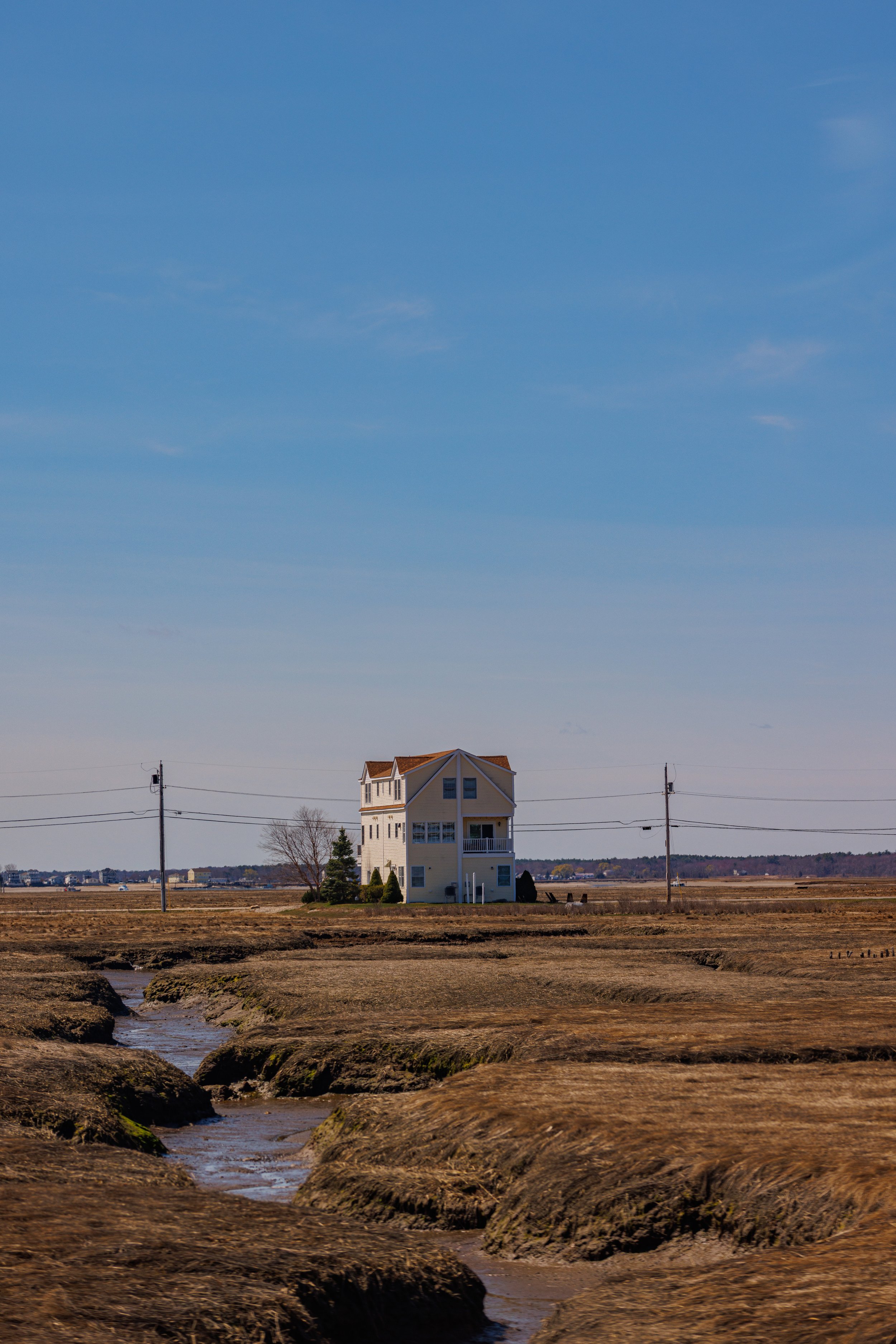 _TC_2050.jpg