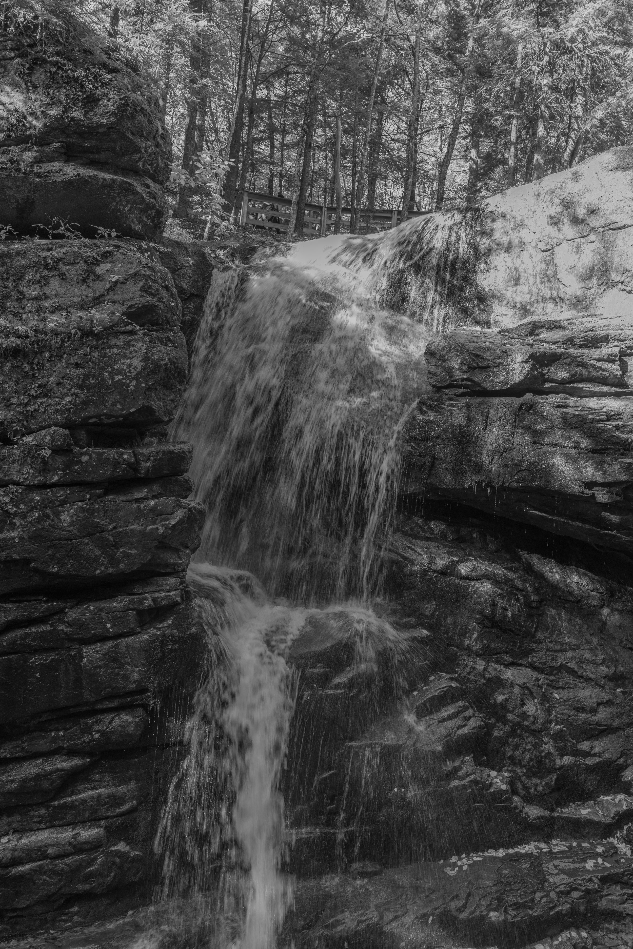 _TC_1418.jpg