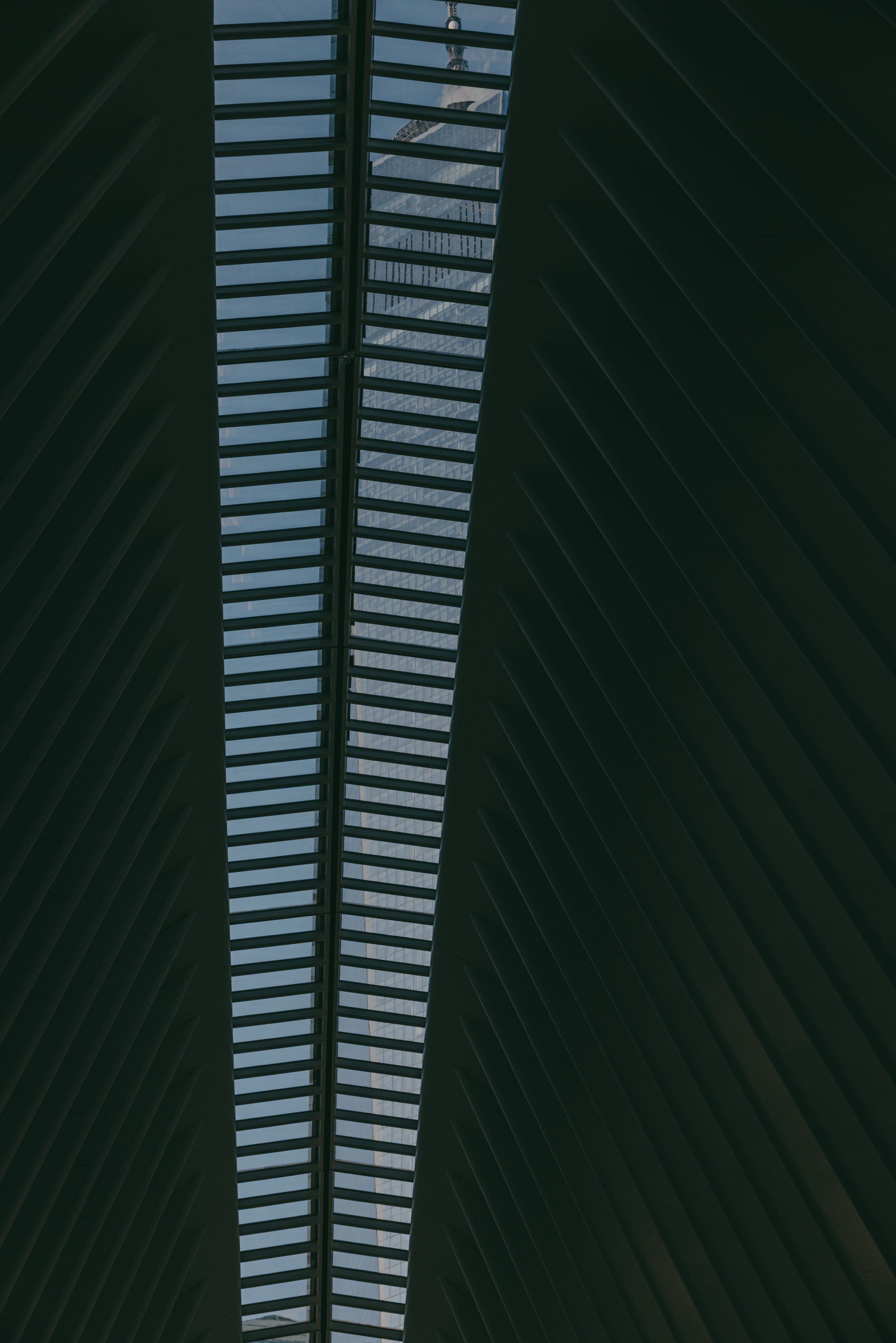 _TC_6943.jpg