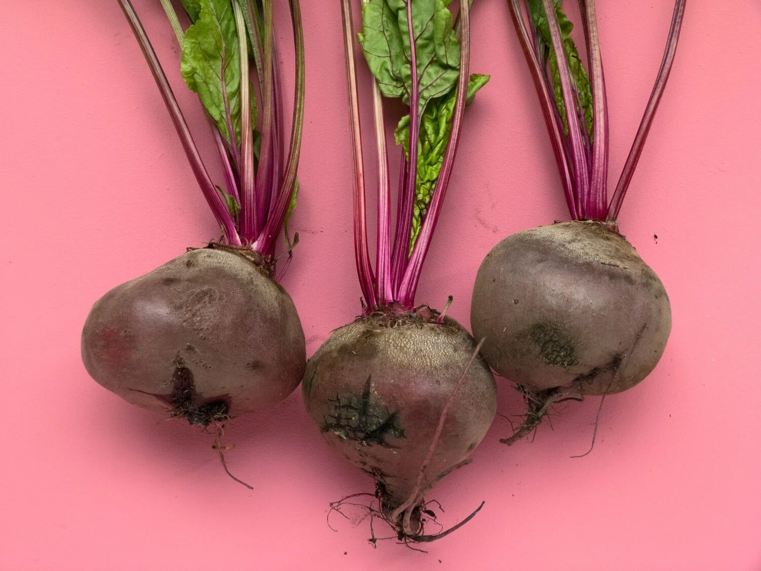 Recipe: Beetroot Loaf by Courtney Rose Douglas