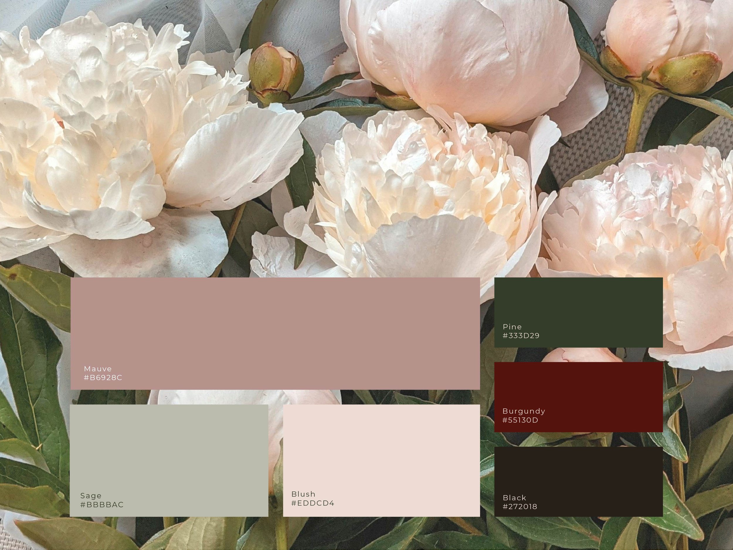color palette