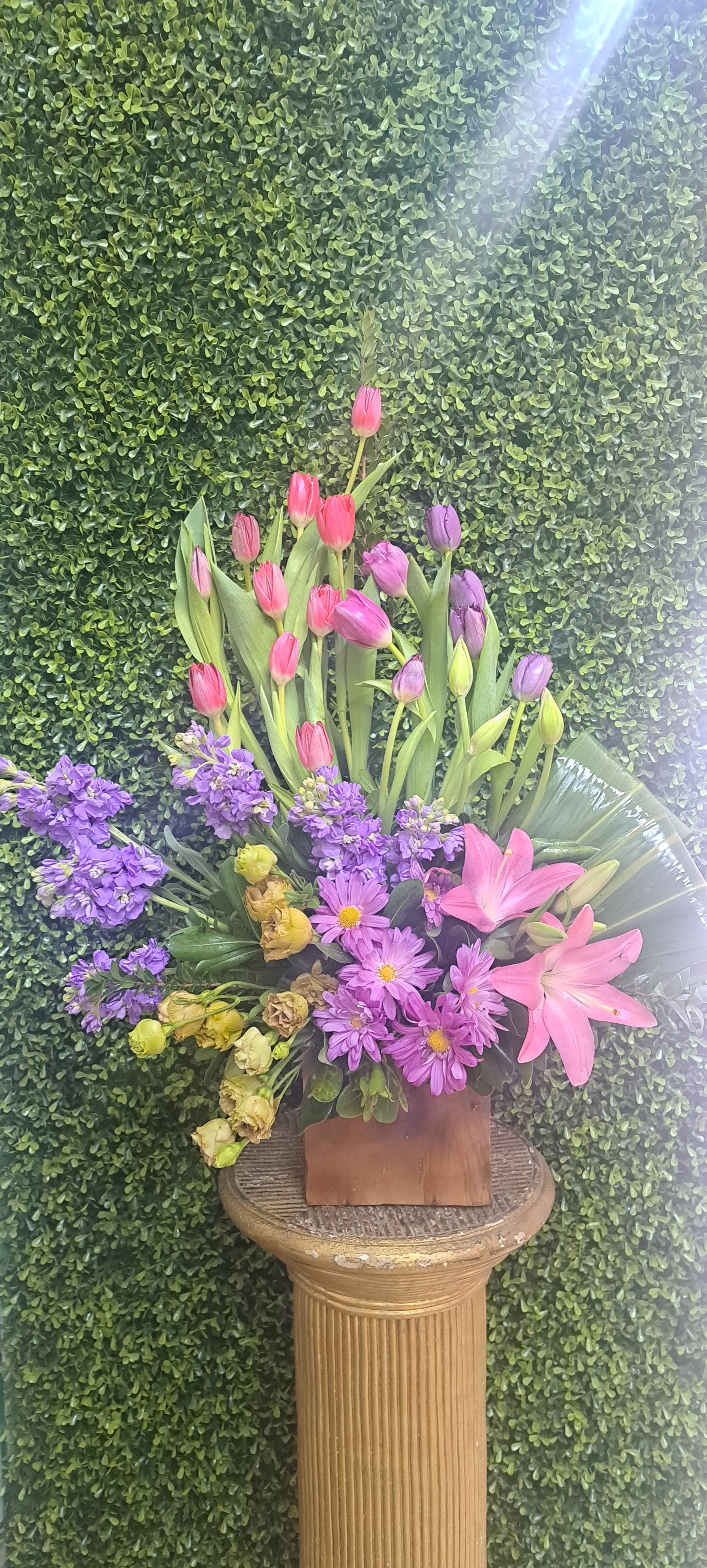 Jardin de tulipanes (20)