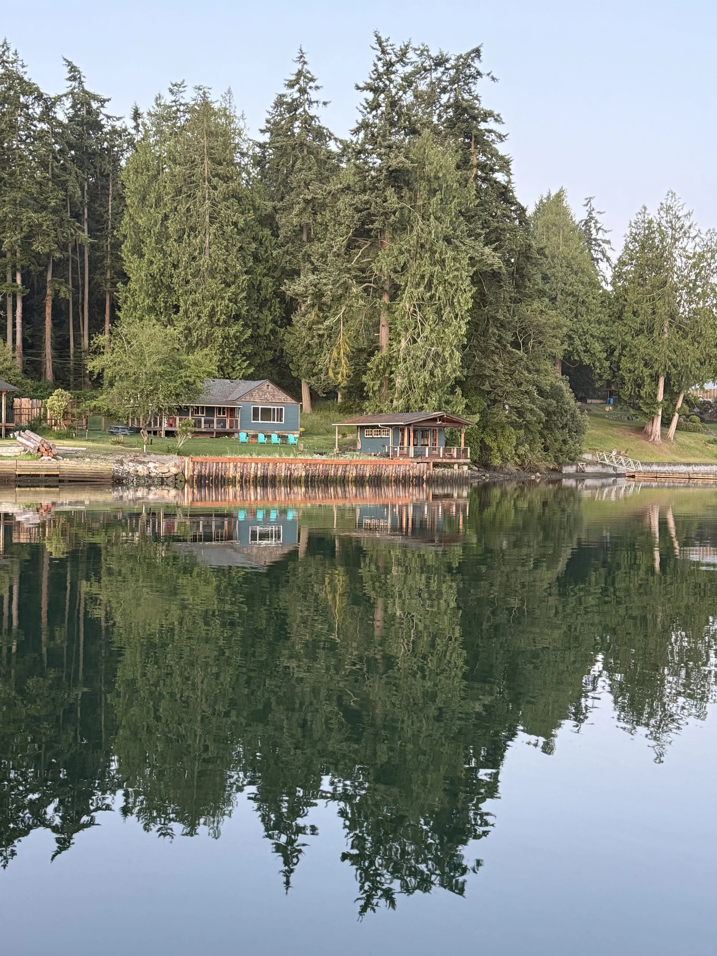 Calm water reflecting large pine trees and houses along the shoreline, with a clear sky overhead.