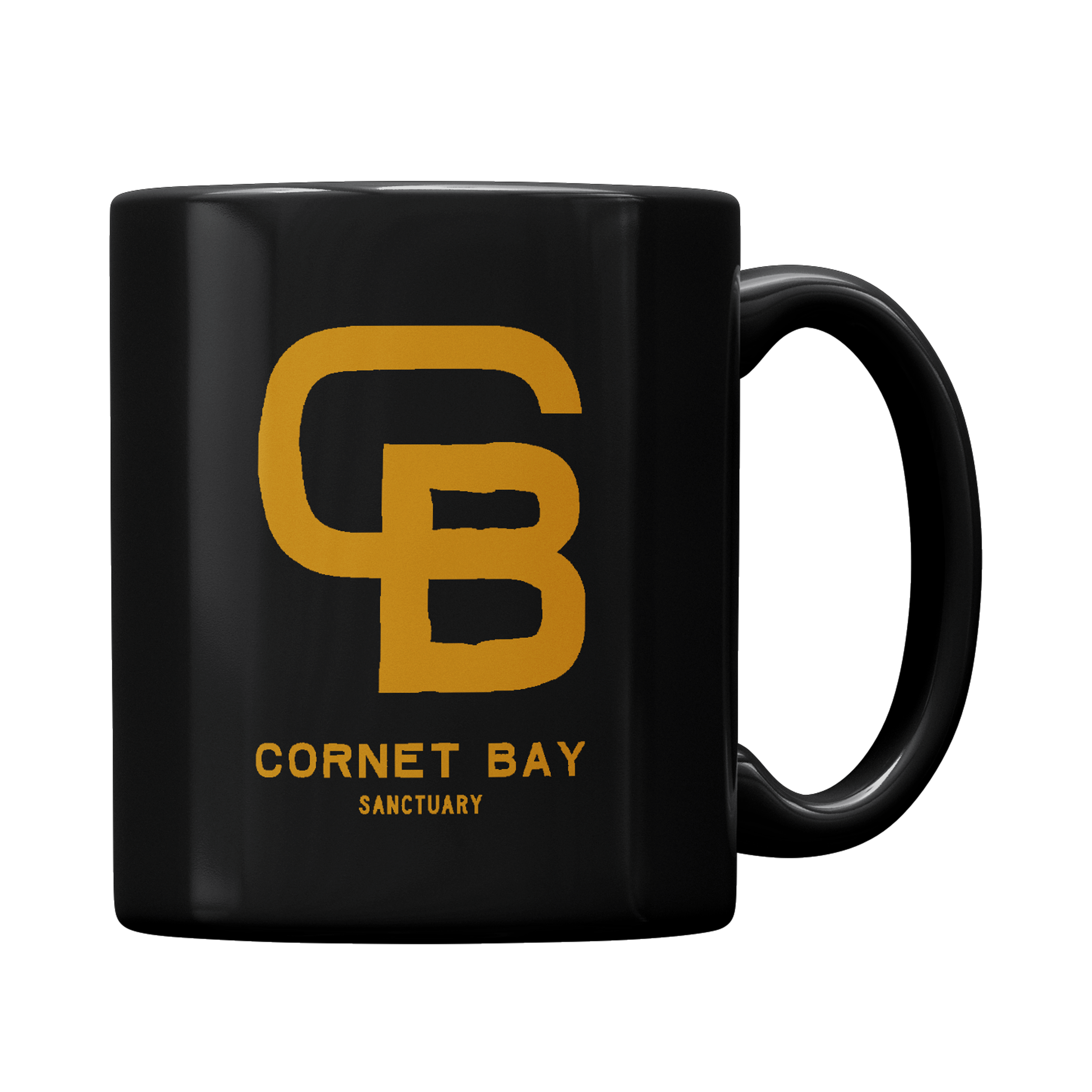 READING MUG BACK.png