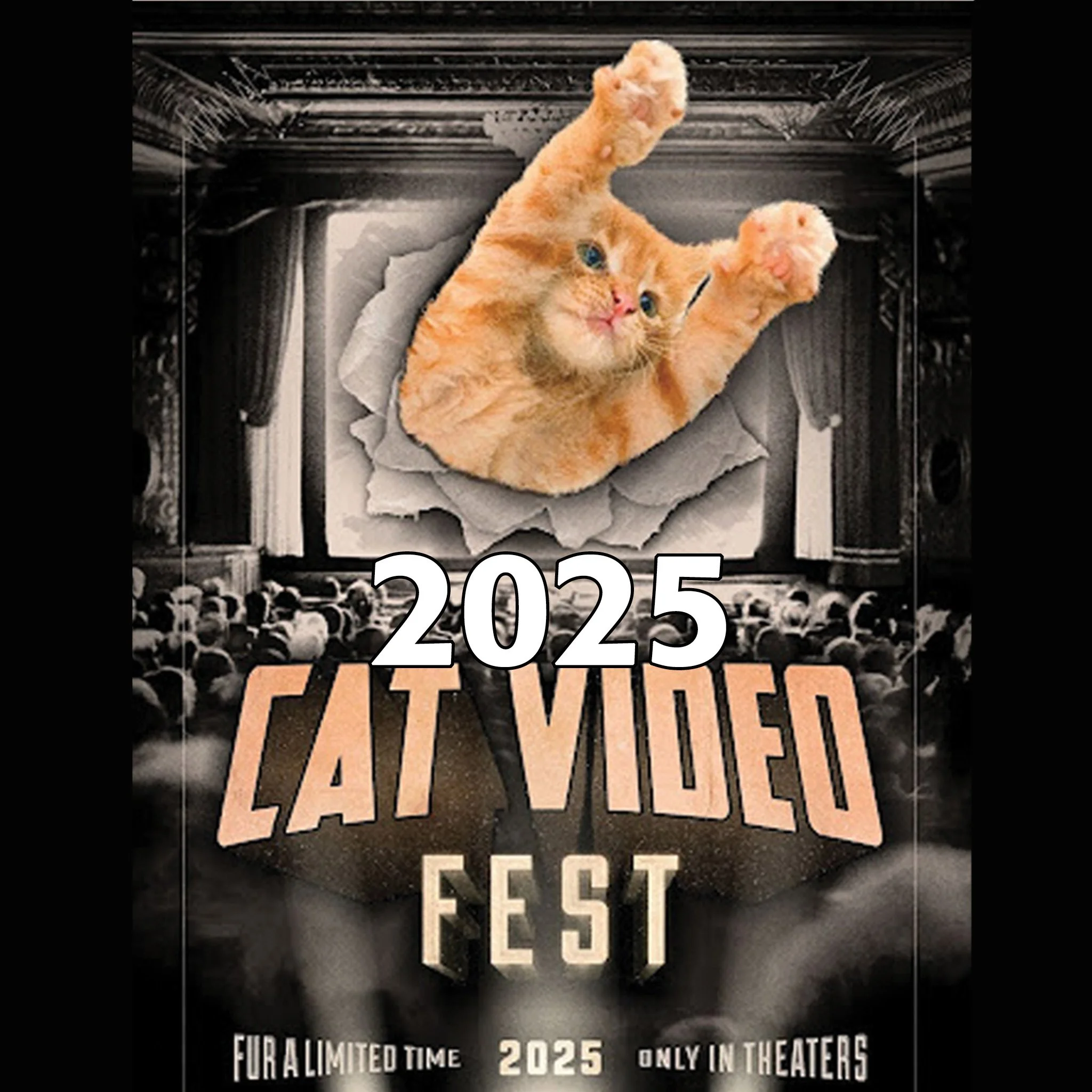 2025 Cat Video Fest