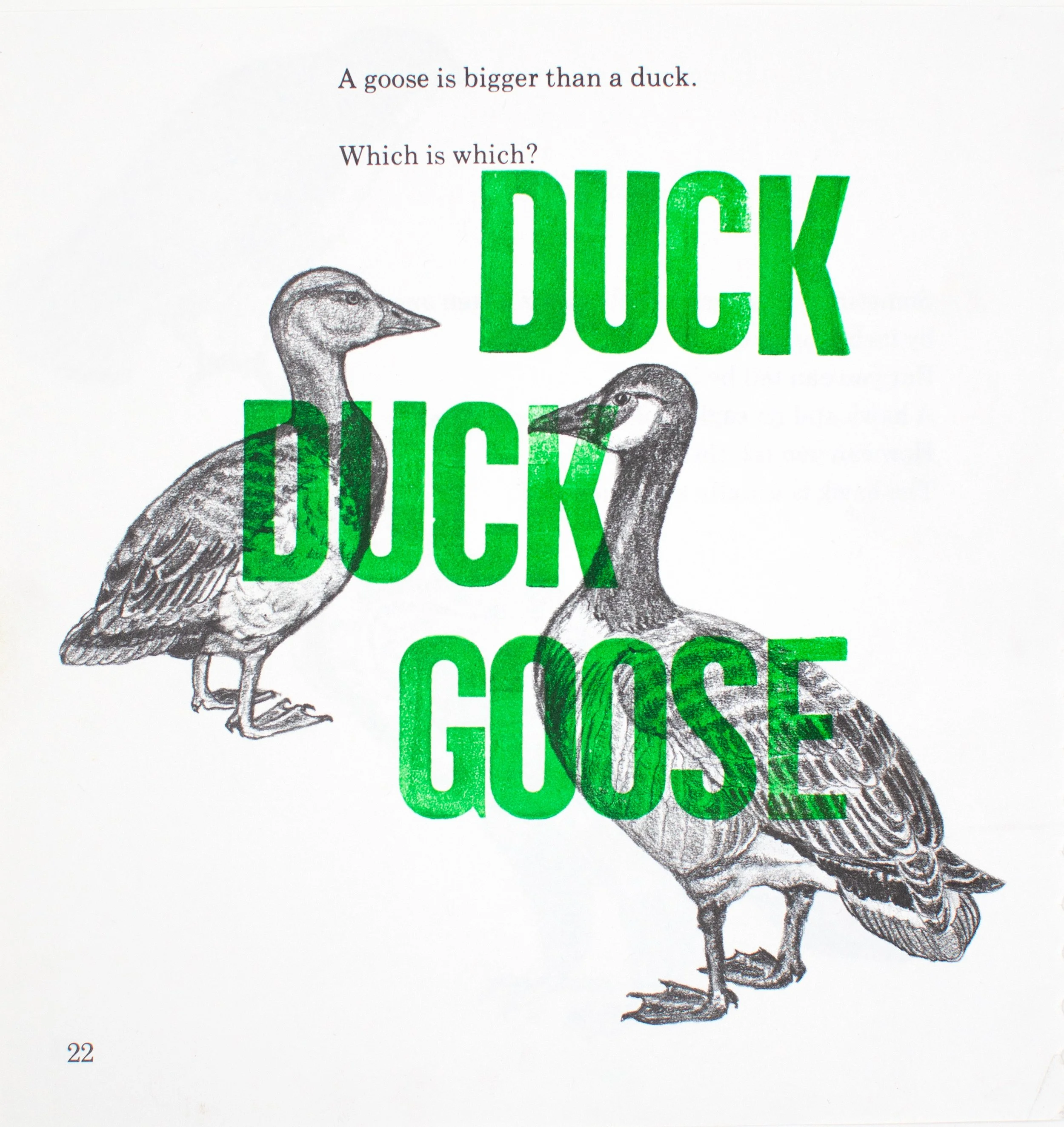 DuckDuckGoose.jpg