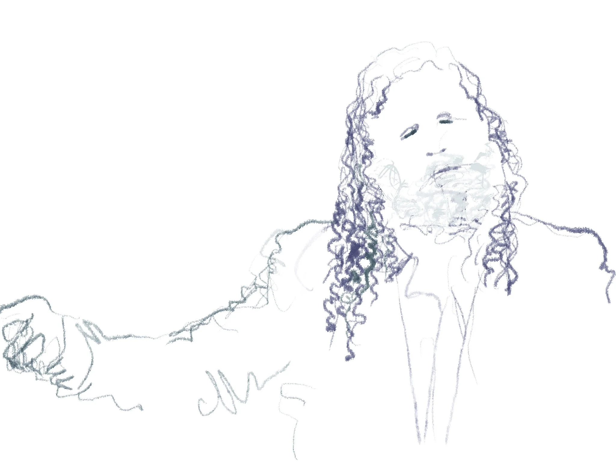 ‘Untitled (Robert Sopolsky?) iPad drawing 2010’s