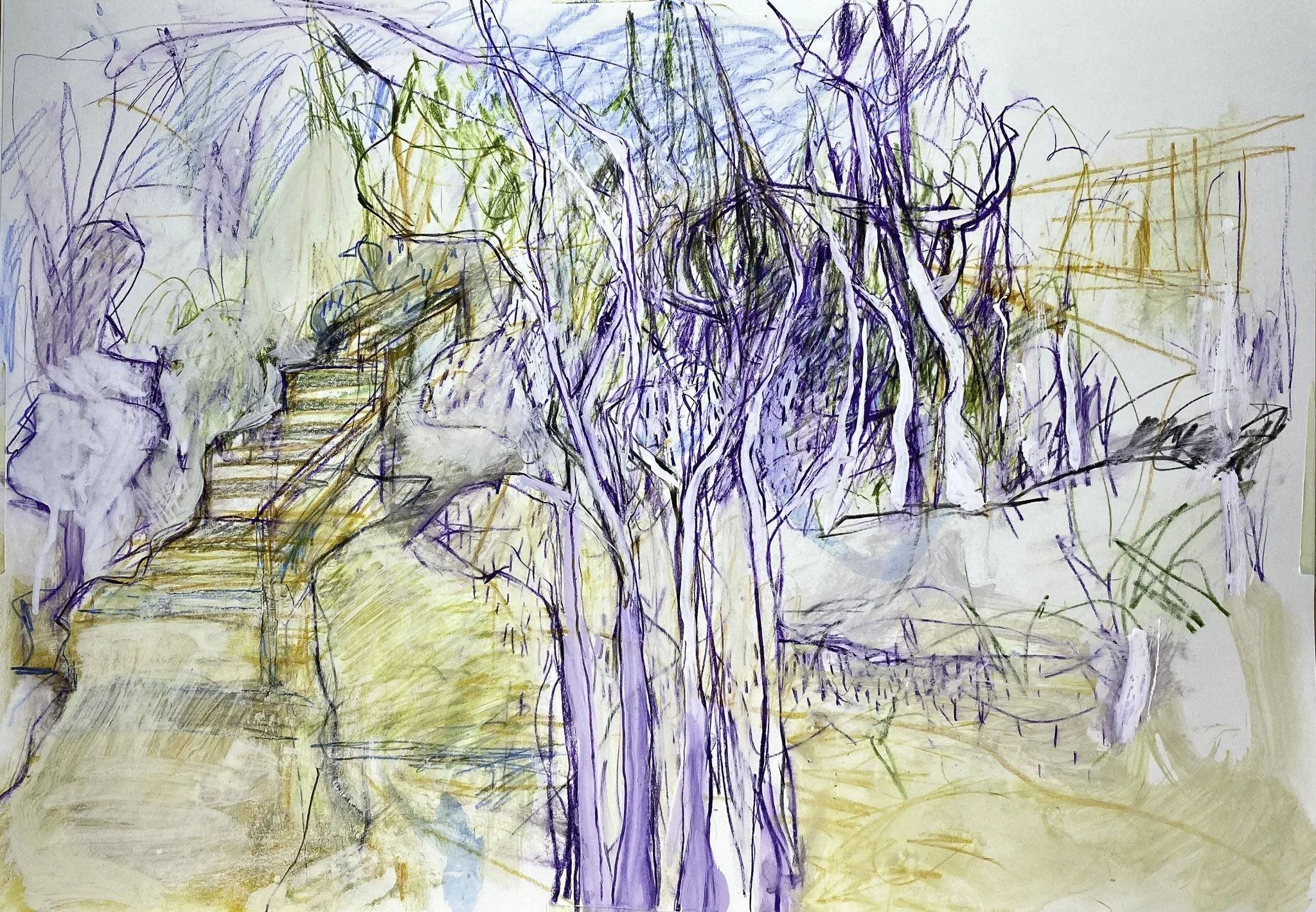 Steps, Yarra Trial, Ink, Watercolour pencil on Paper, 840x 420 mm, 2026