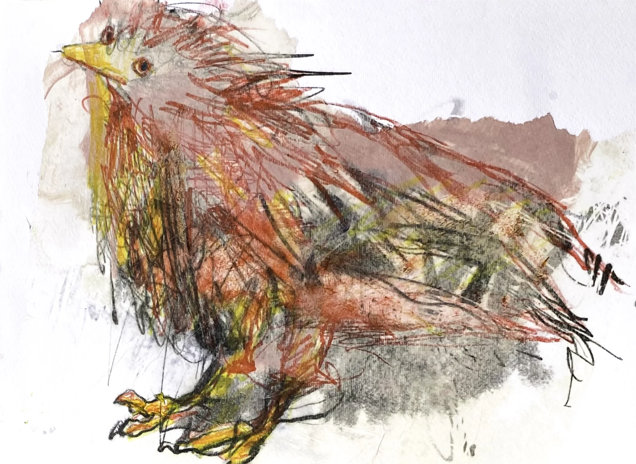 ‘Shabby Bird at the Window’, Mono-print, Acrylic, Ink on paper, 300mm x 220mm, 2026