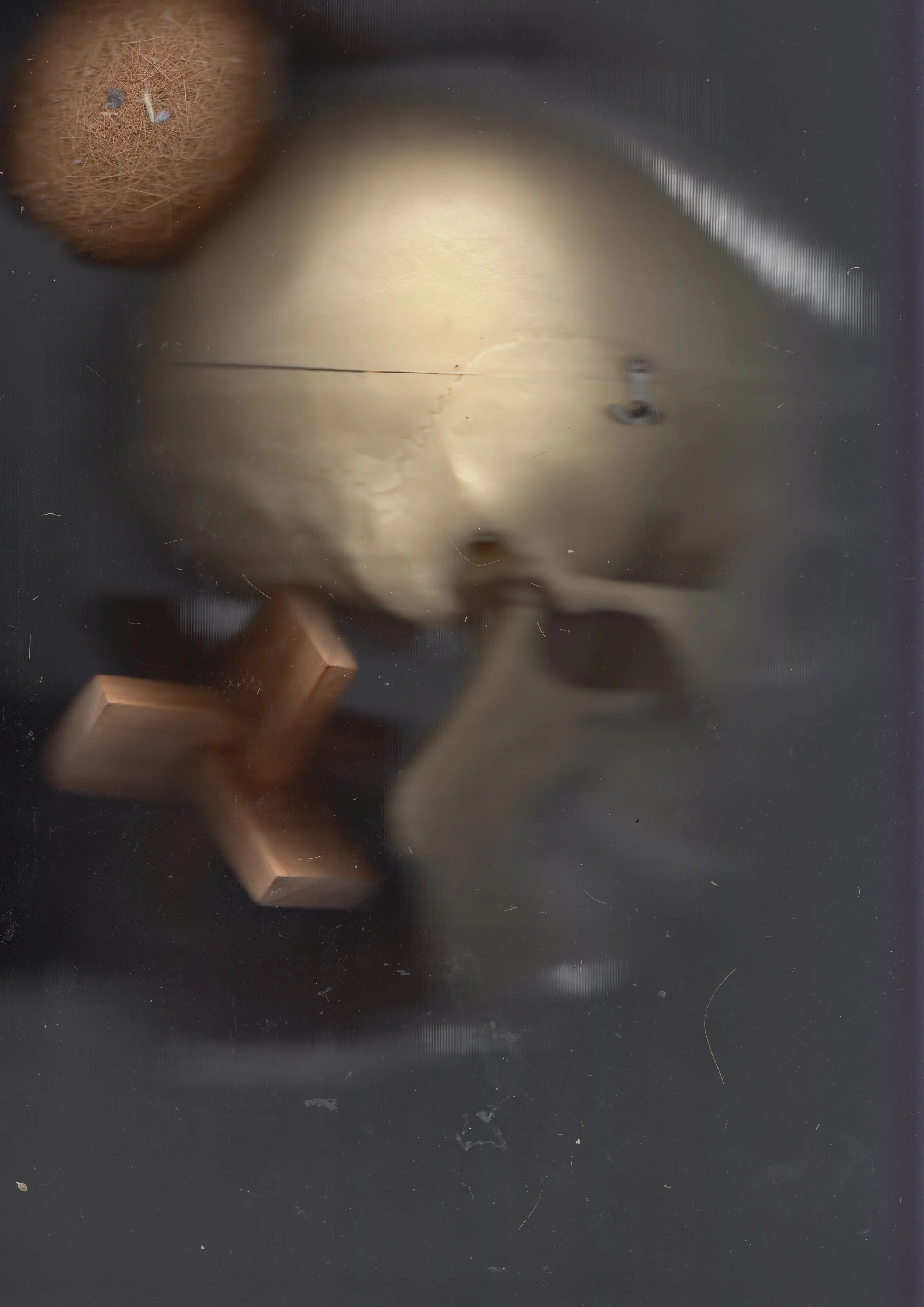 scull scan 10.jpeg