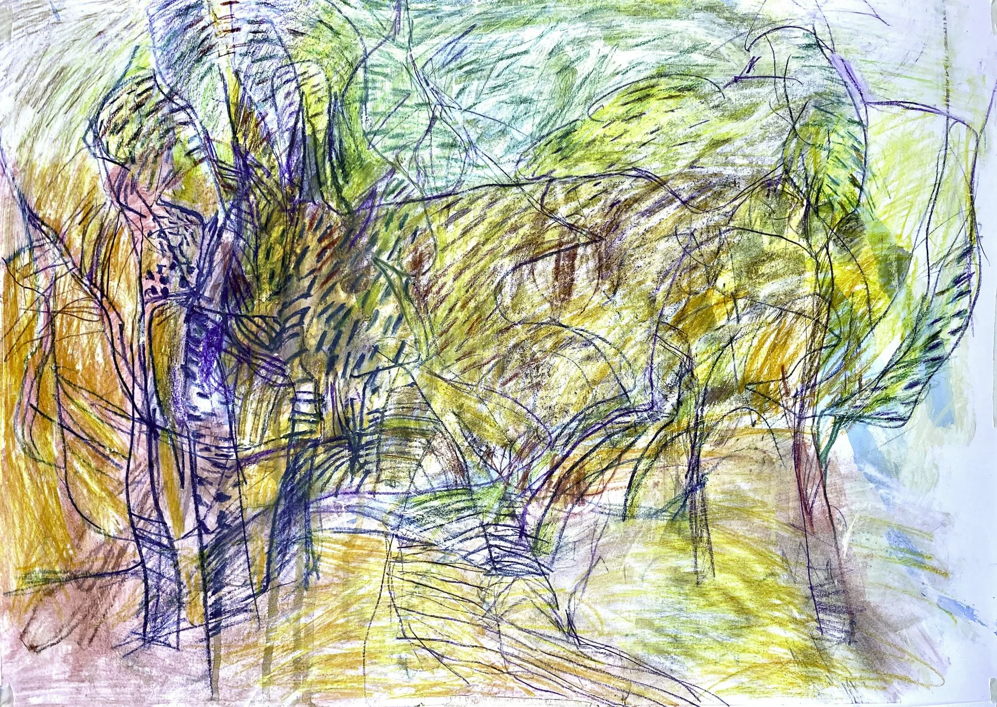 ‘ Autochthon (Animus)’, Ink, Watercolour on Paper, 580x 420 mm, 2026