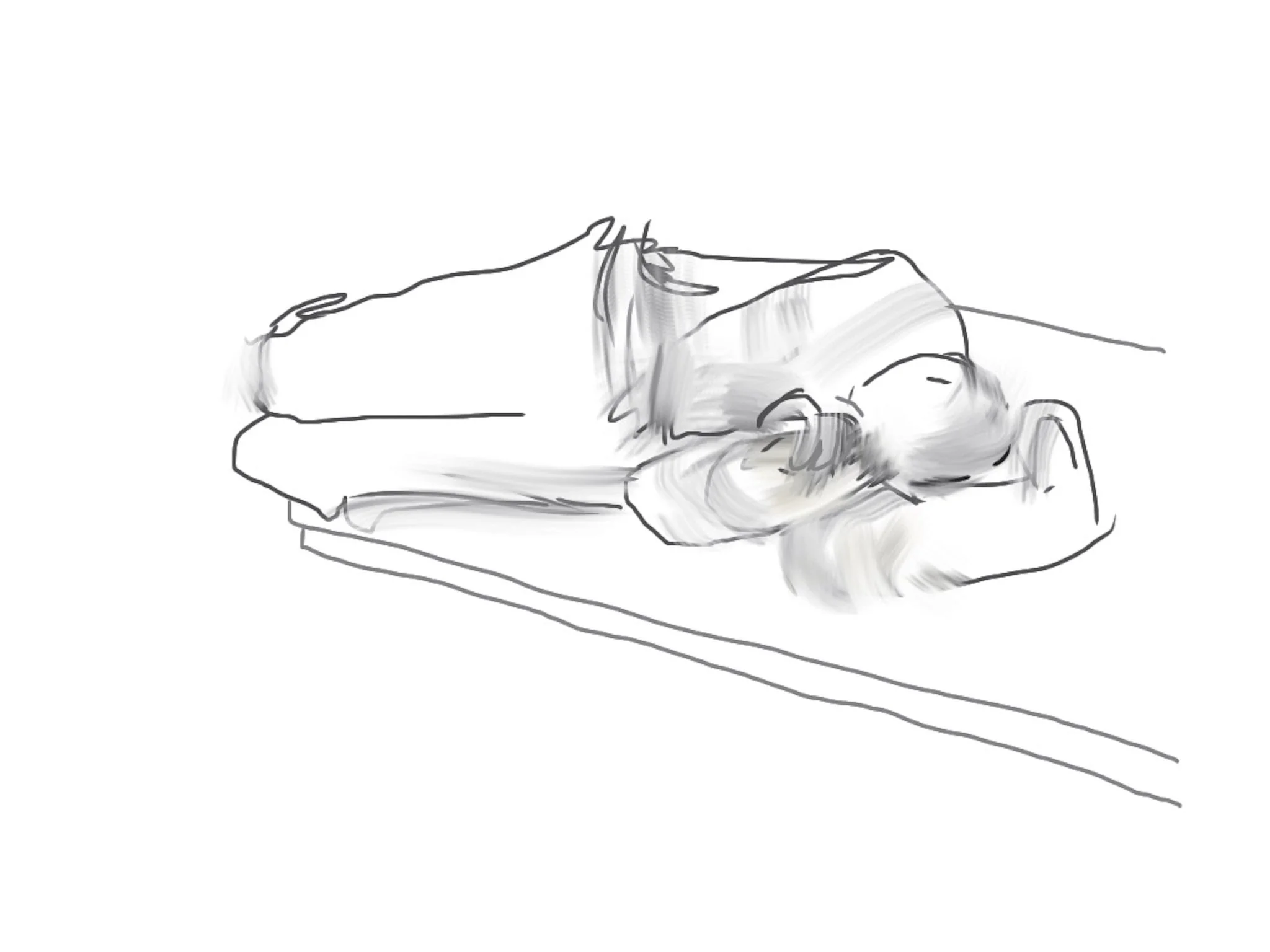 ‘Man Sleeping on Train’, Digital Ink Print on Paper, 2005