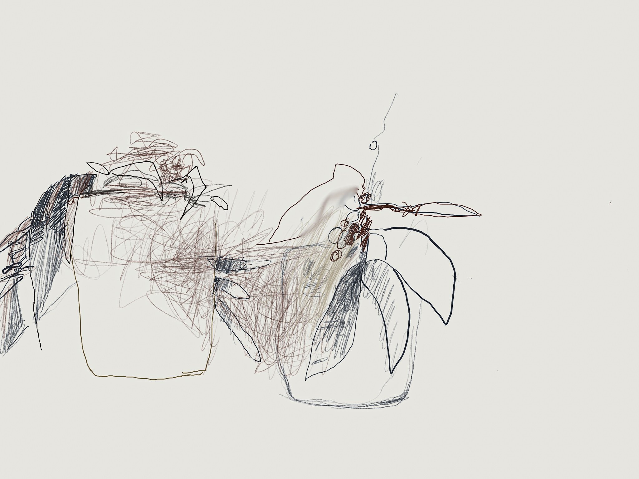 ‘Untitled (2 pots), iPad drawing, 2010s