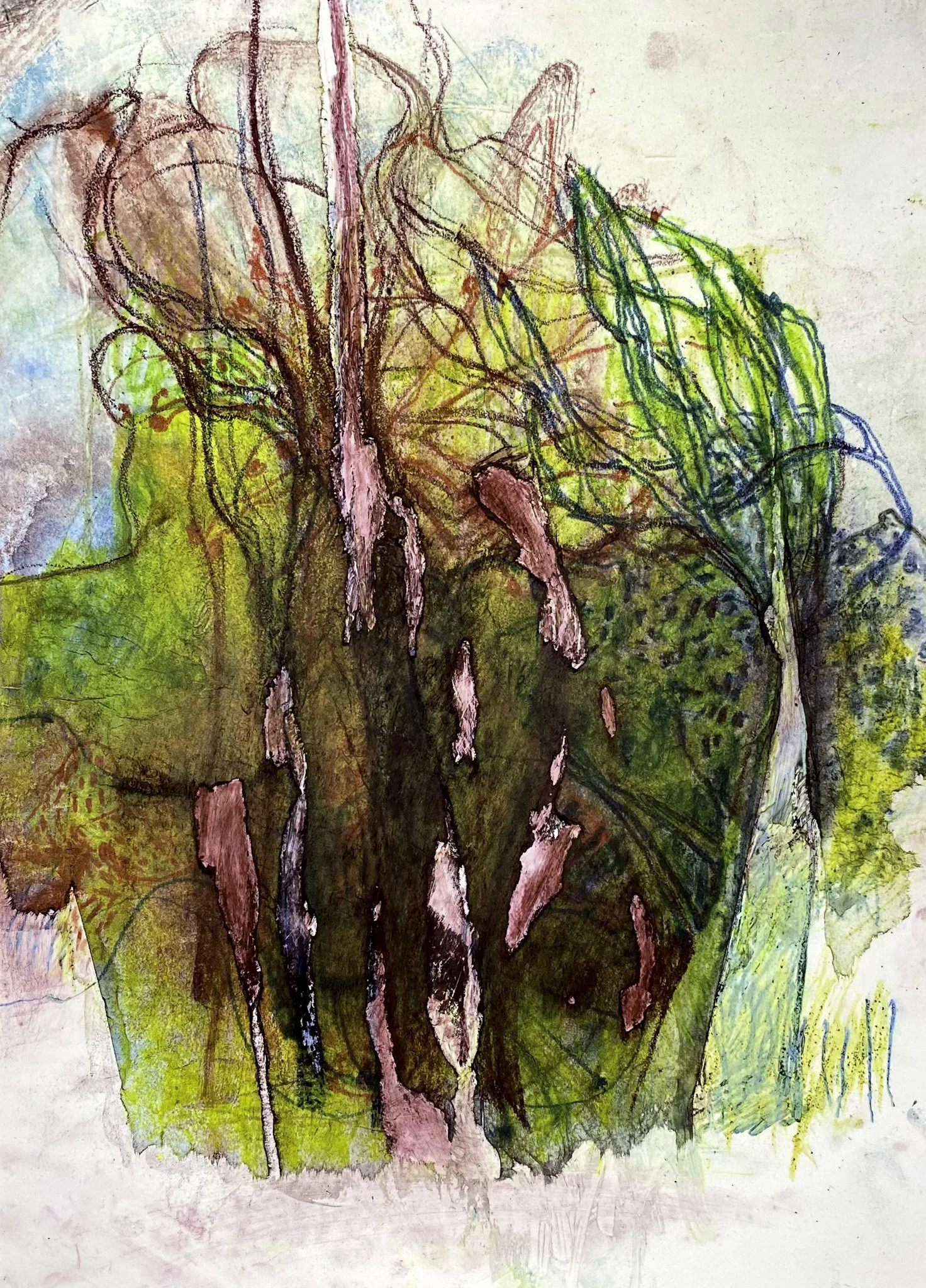 ‘Couldn’t See the Wood for the Trees!’, Ink pencil on Paper, 297mm x 400mm, 2026