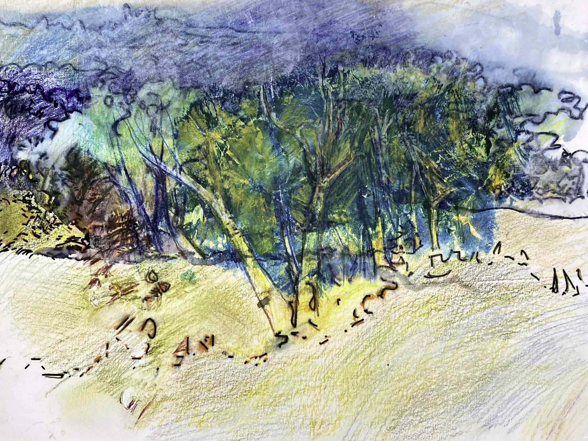 ‘Top Paddock’, Ink pencil on Paper, 420mm x 300mm, 2026
