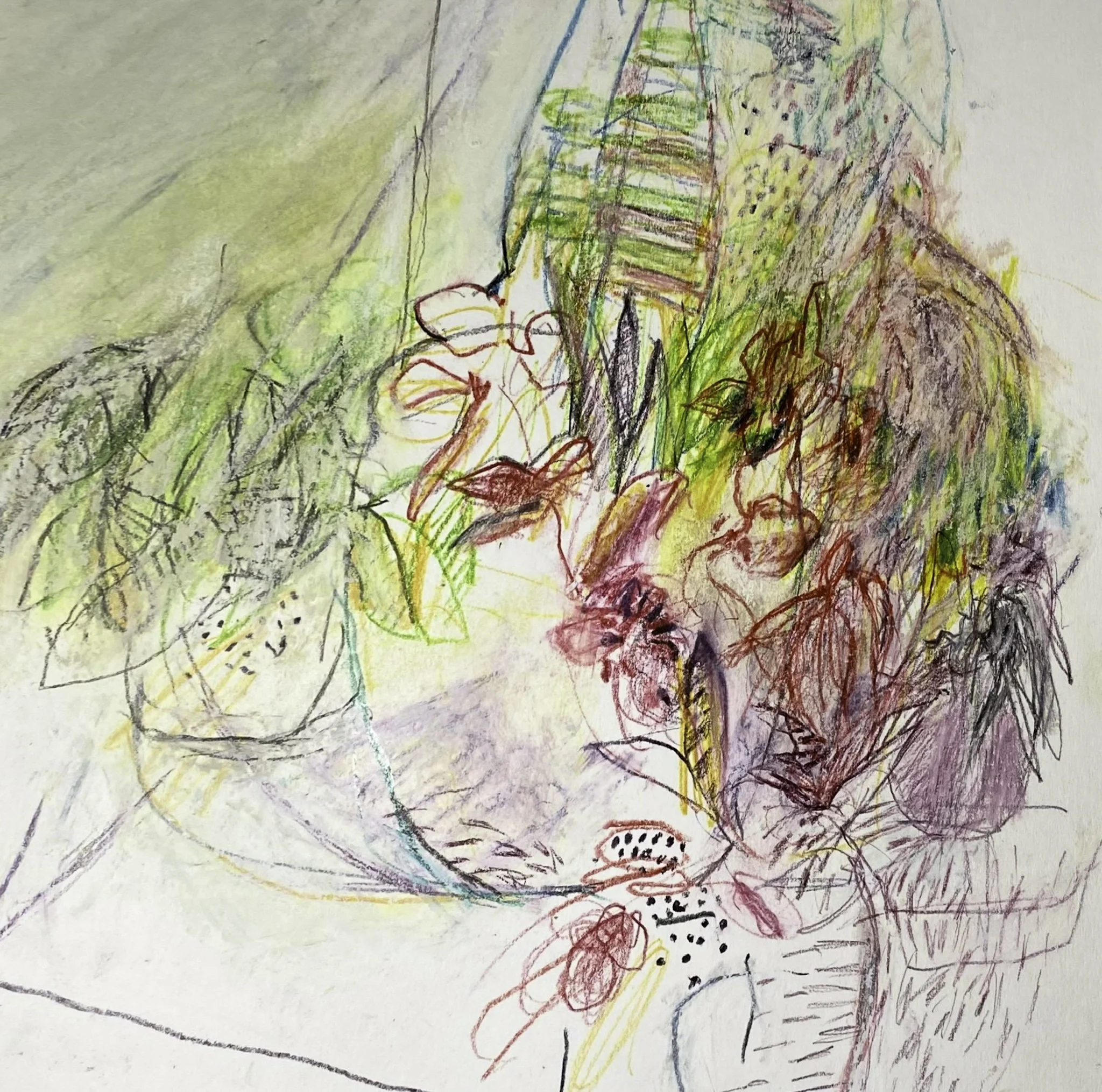 ‘Untitled (Still-life), Ink, Watercolour pencil on paper, 270mm x 270mm, 2026