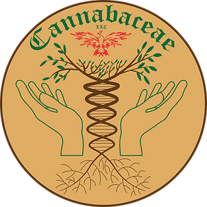 cannabacea.png
