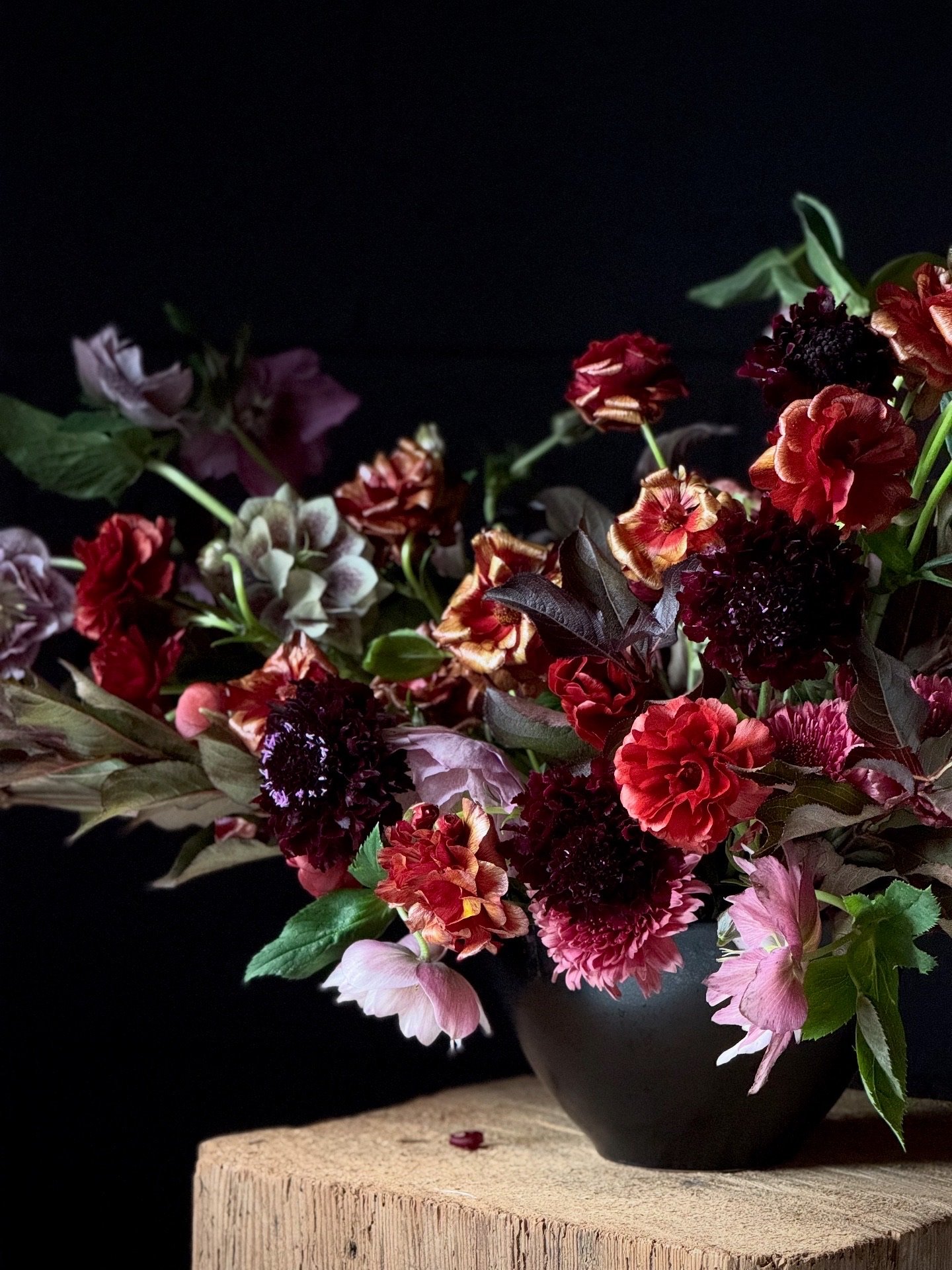 12124E3C-5A06-4F08-B053-582E3EB7B710 2.jpeg