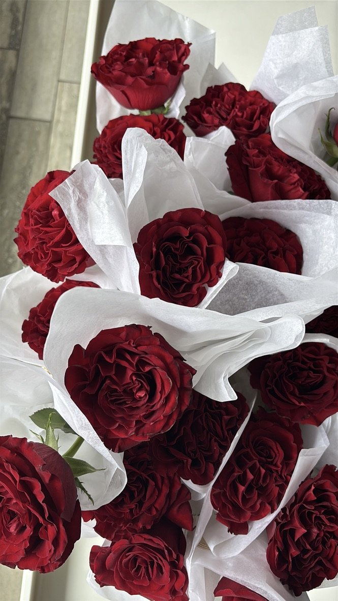 Brand Collaboration: L'Occitane