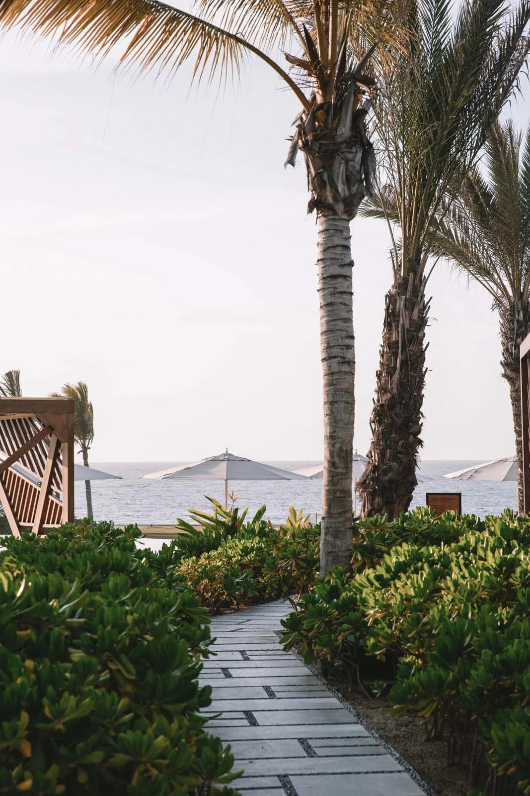 CONRAD PUNTA DE MITA
