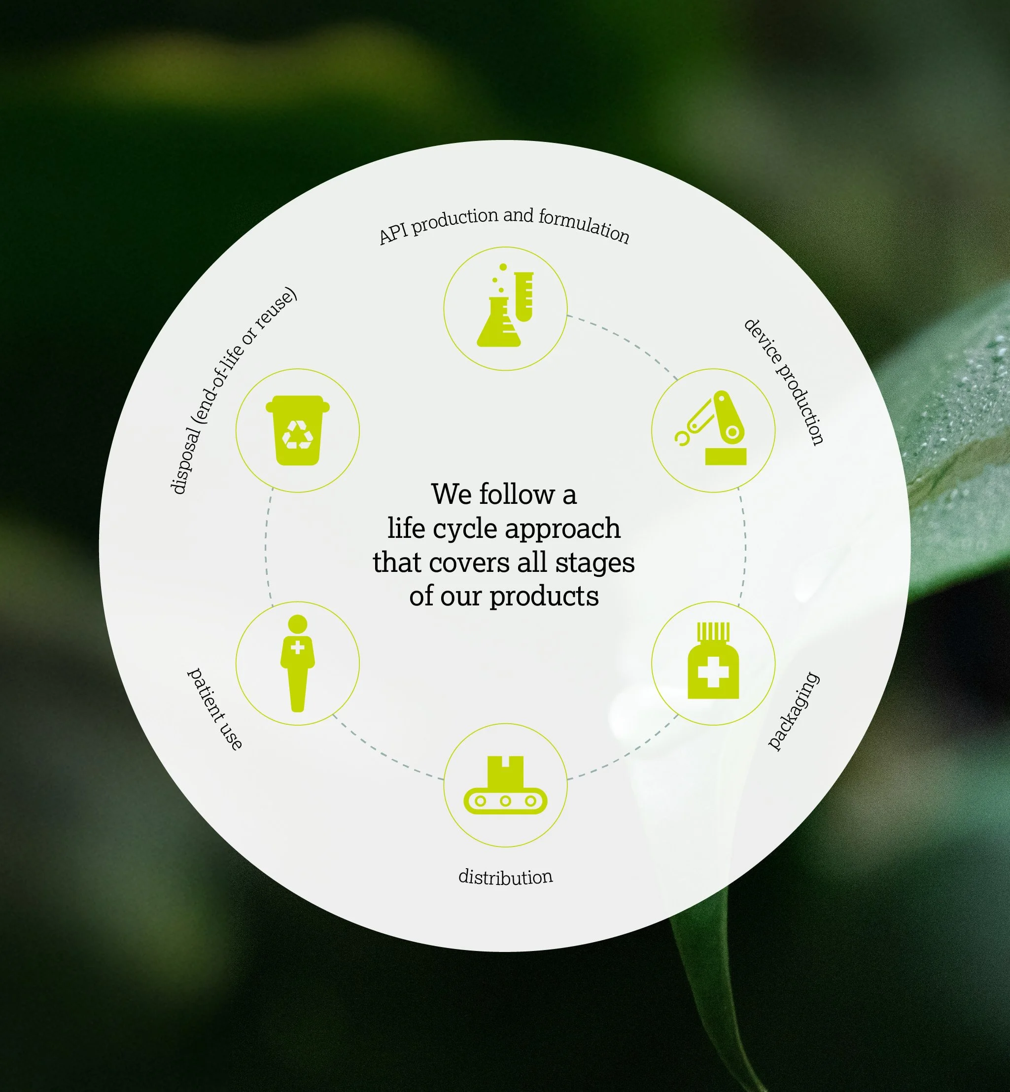 _1024x1107_productcycle.jpg
