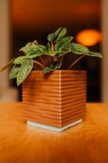 Terra Planter - Mesa