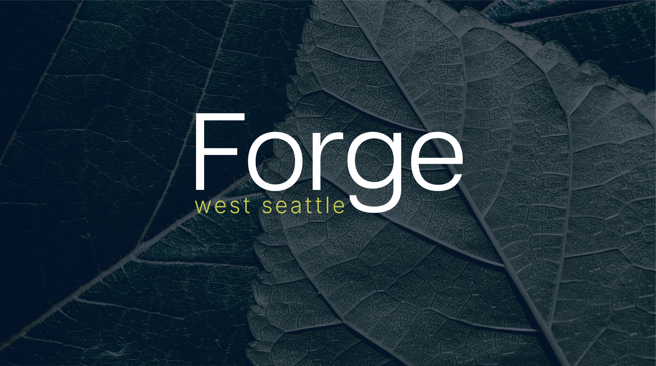 Forge-website-01.png